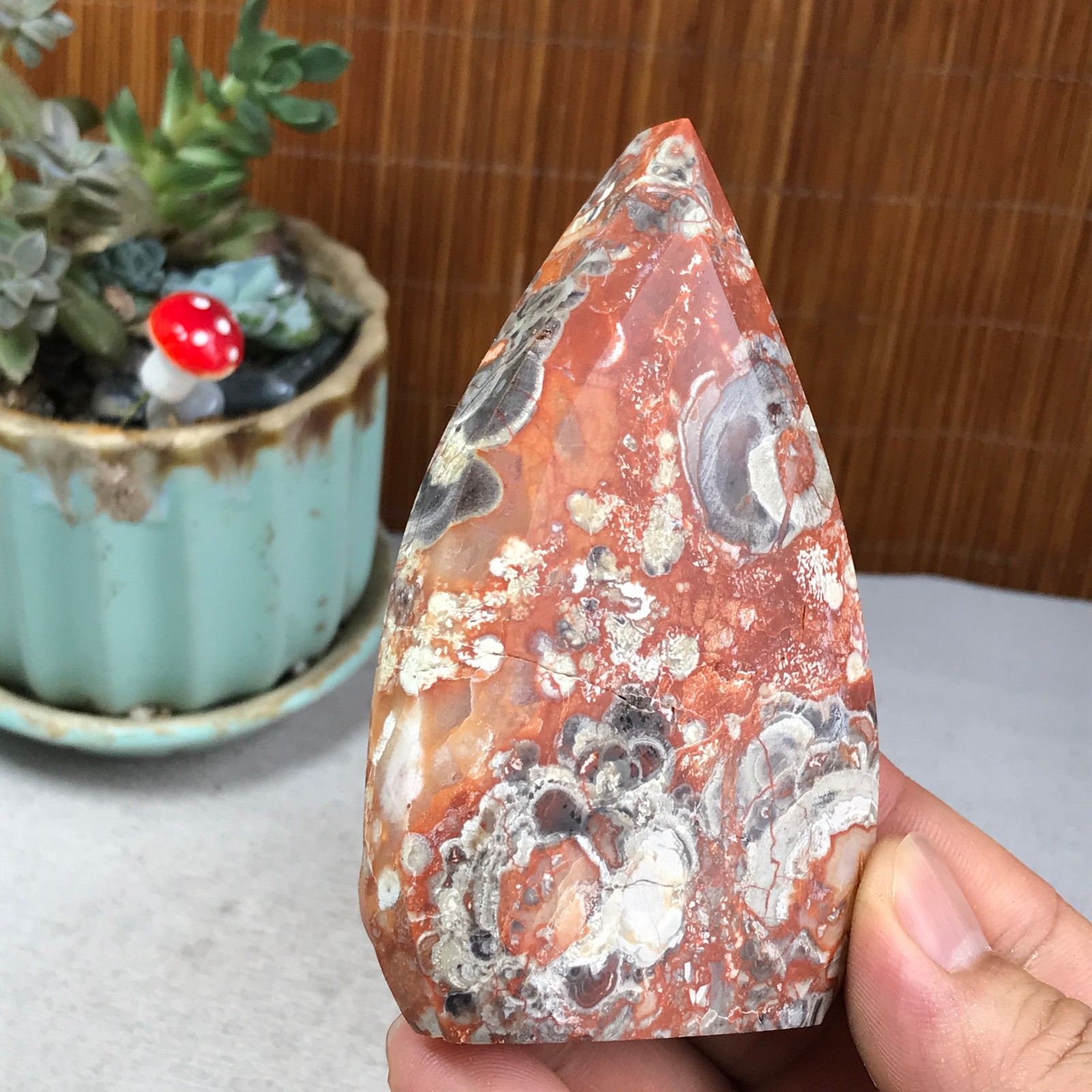 Natural money Mexico agate hand carve leaf Crystal Specimen free standing A6256