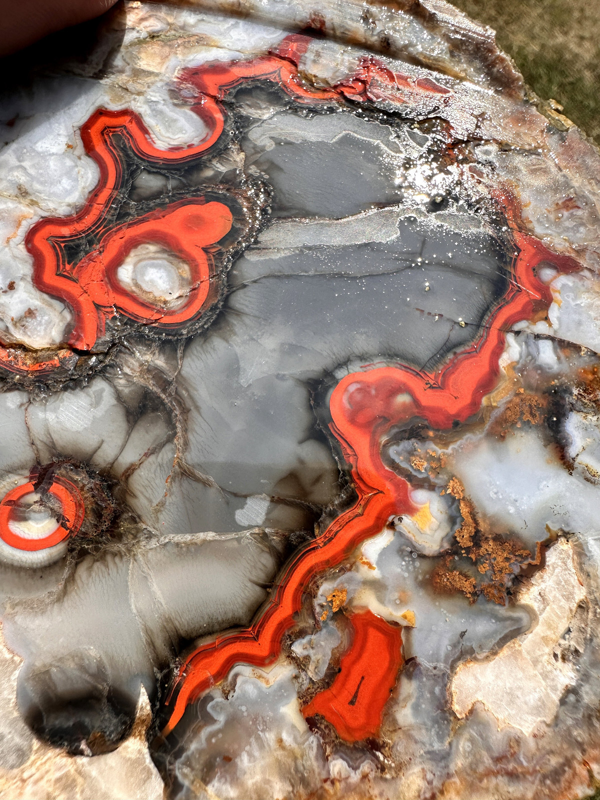 6 1/2 INCHES__Beautiful Imperial Kentucky Agate Slab from Estill County