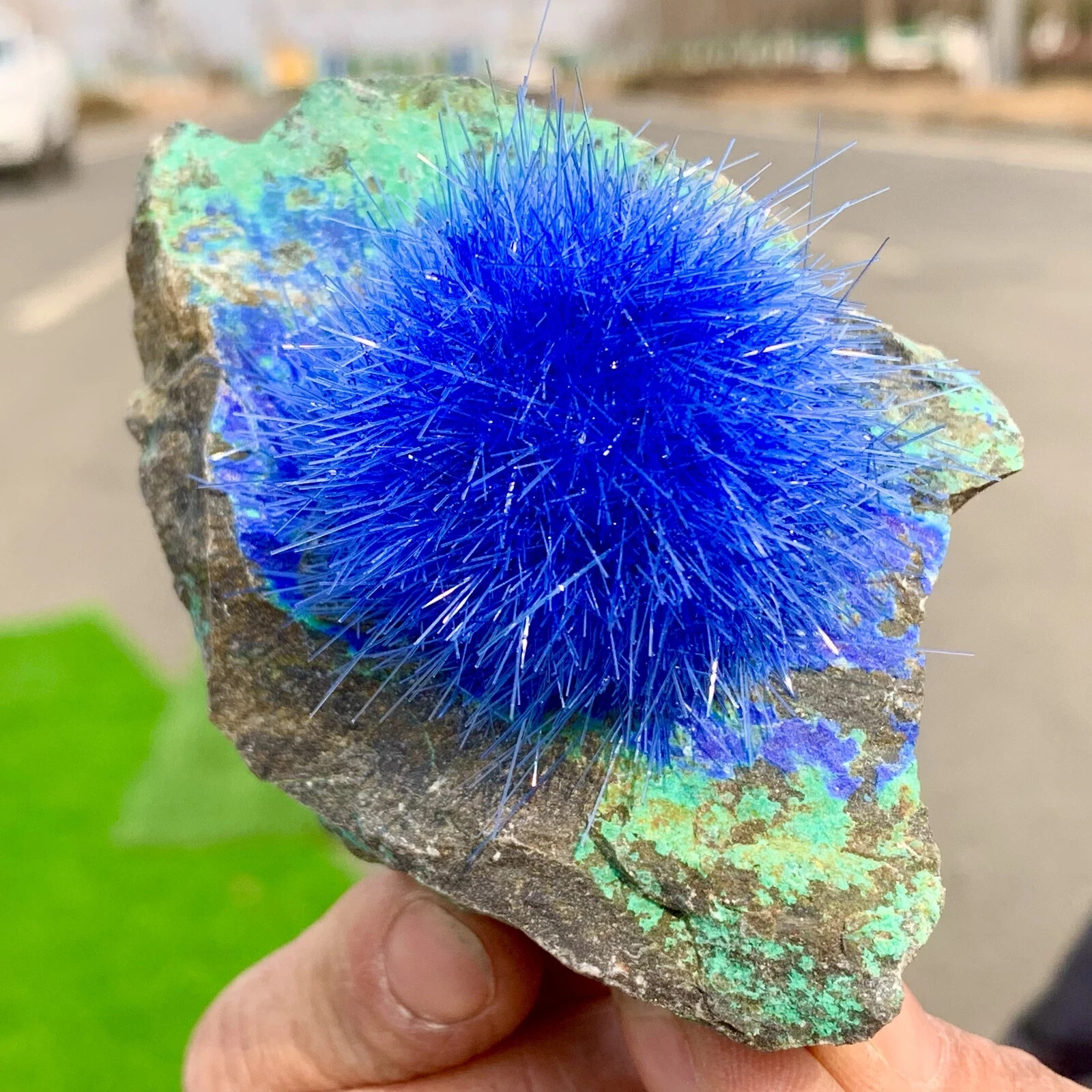50-80g Blue Dandelion Zeolite Quartz Crystal Healing Cluster Mineral Specimen