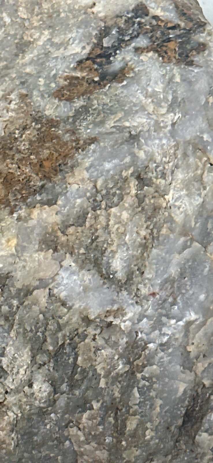 Plumas County Northern Sierra Gold Ore, Priced Right & Visible Gold + Minerals
