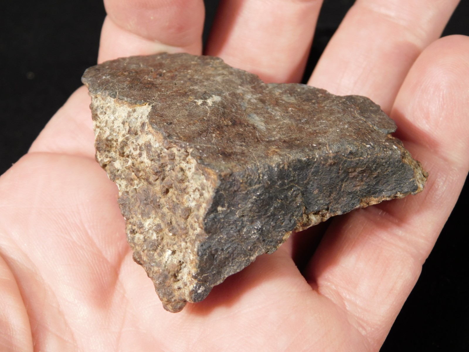 Classified NWA 8245 METEORITE 100% Natural FELL on Erfoud, Morocco 114gr