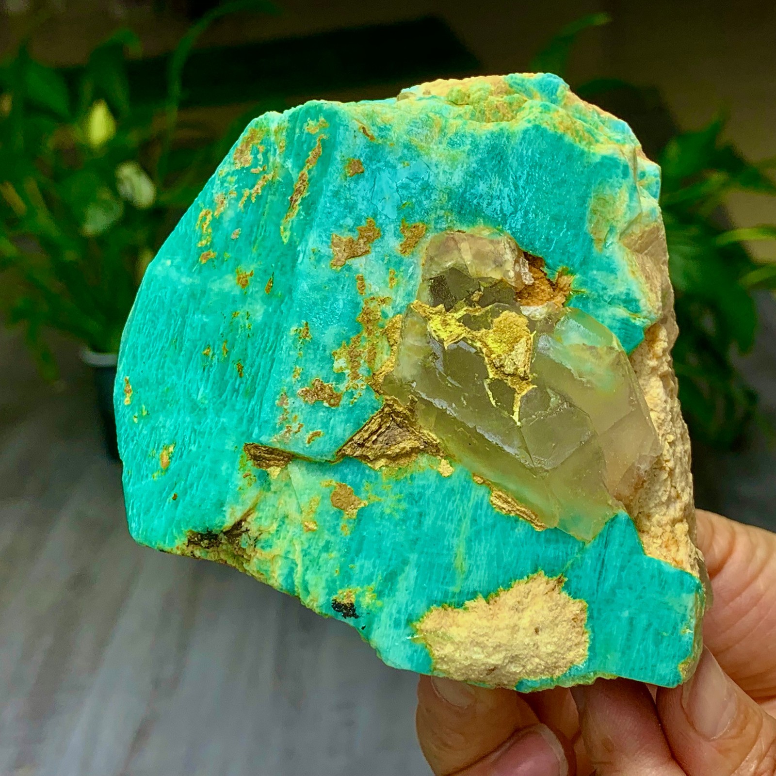1.58LB Rare!! Natural beautiful Amazonite with Quartz Crystal Specimen Rough
