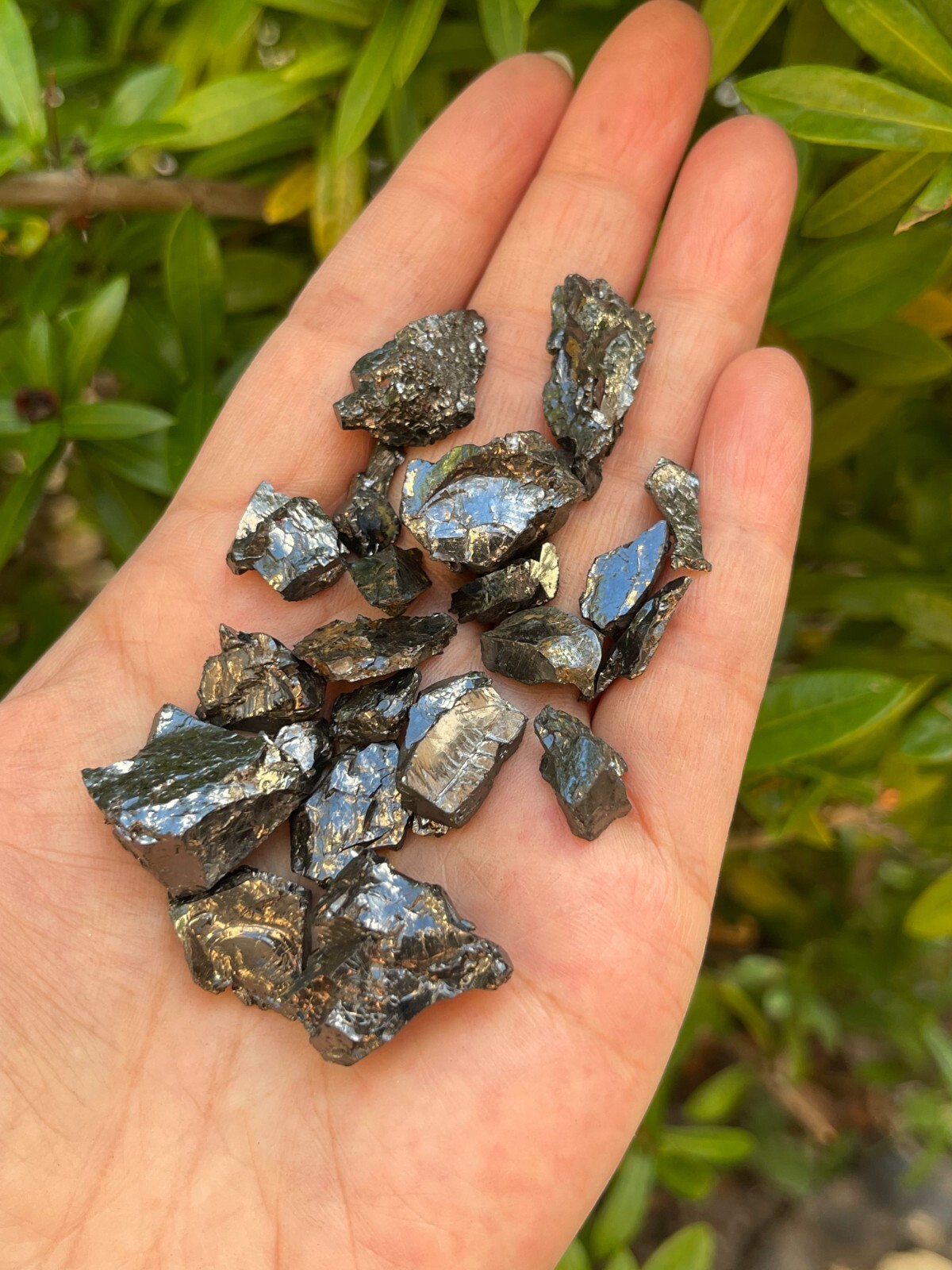 Grade A++ Small Elite Noble Shungite Stone, 0.2-1″ Raw Shungite, Bulk Lot
