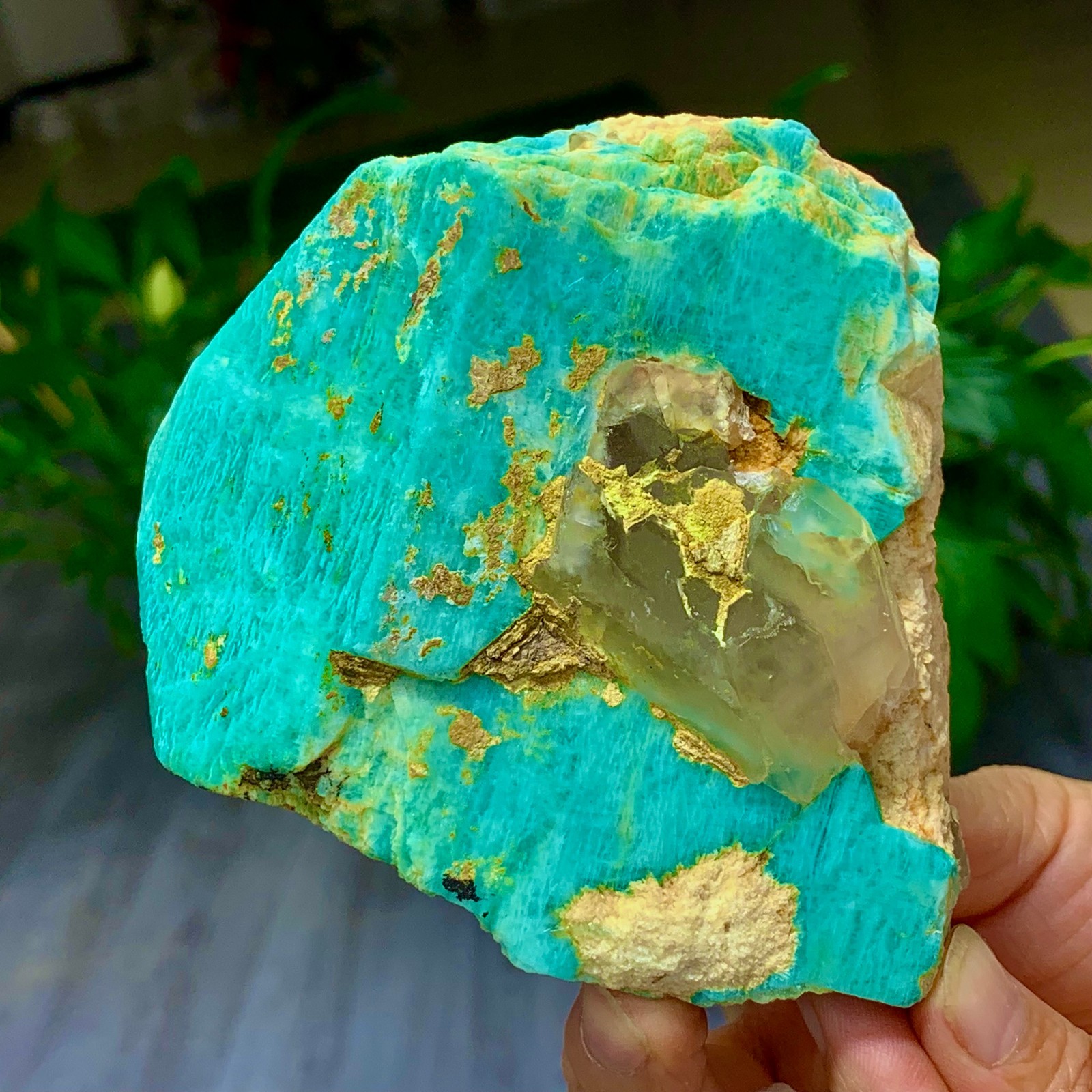 1.58LB Rare!! Natural beautiful Amazonite with Quartz Crystal Specimen Rough