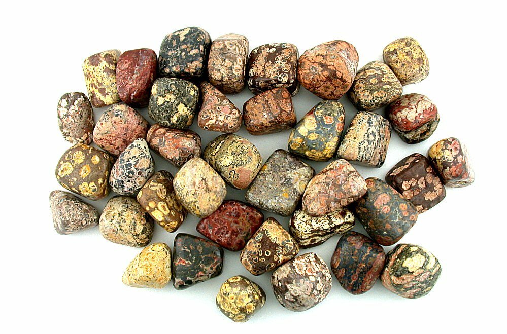 1/2 Pound Leopardskin Jasper Tumble Polish Polished 1/2 To 9/10 Inch Gem T12