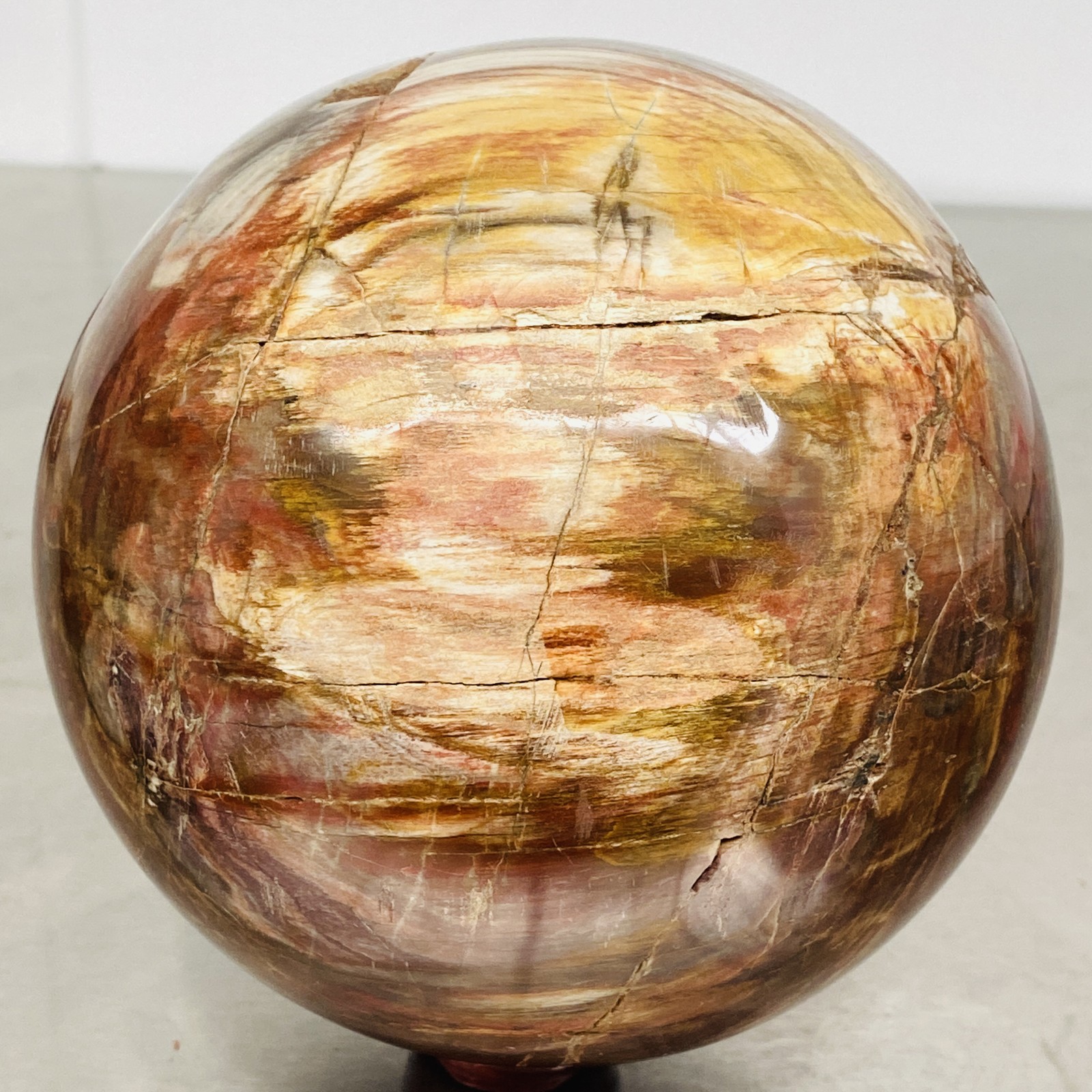 Natural Petrified Wood Polished Stone Quartz Crystal Sphere Ball Healing 3720G