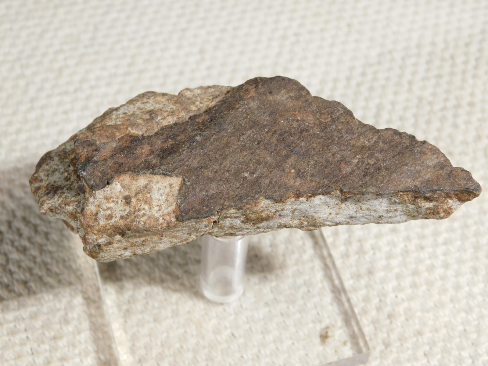Classified NWA 8245 METEORITE Spots of Dark Fusion Crust! Erfoud, Morocco 68.7gr
