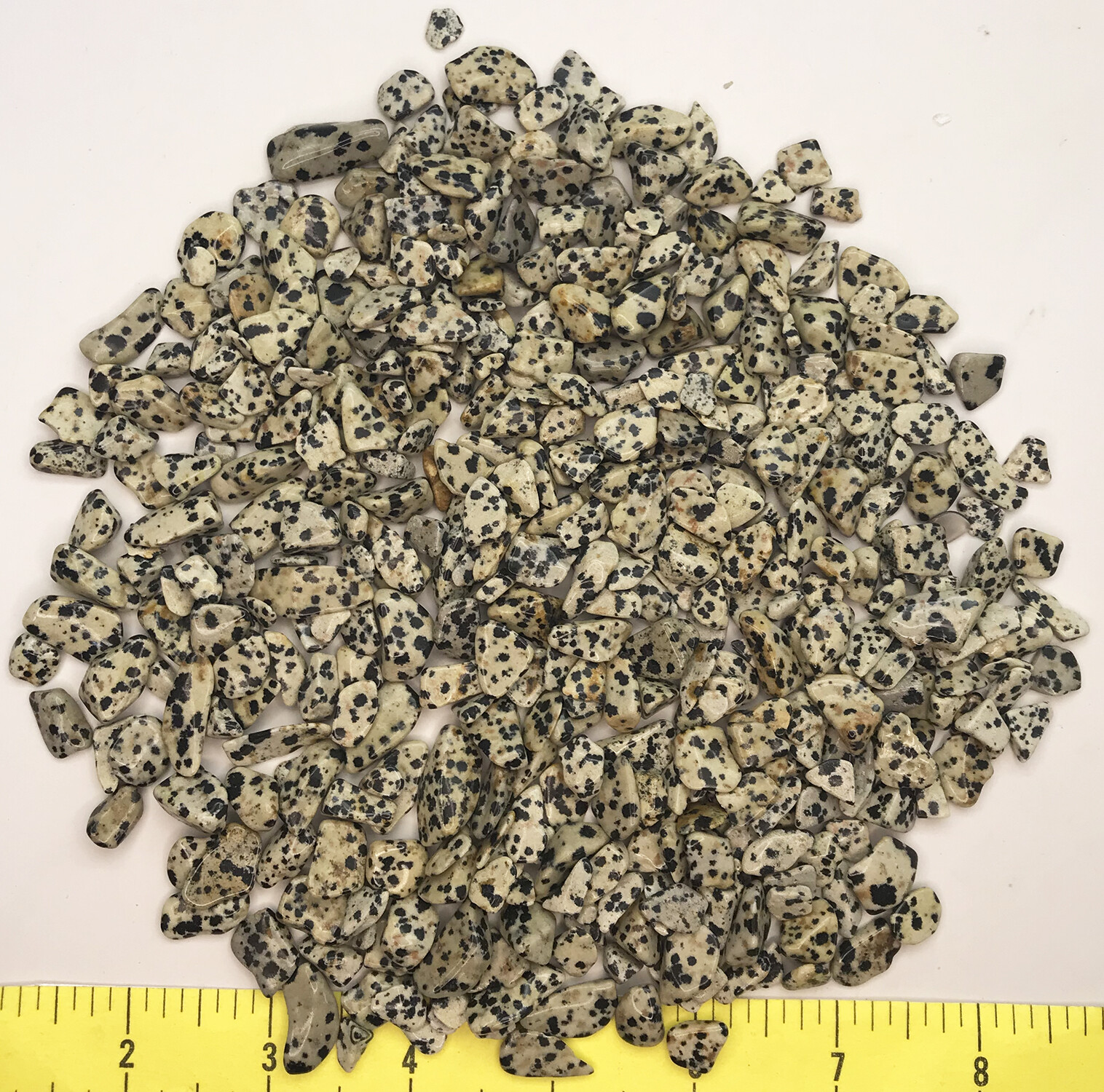 DALMATIAN STONE size Extra Small (5/16 to 5/8″) polished stone – 1/2 lb.