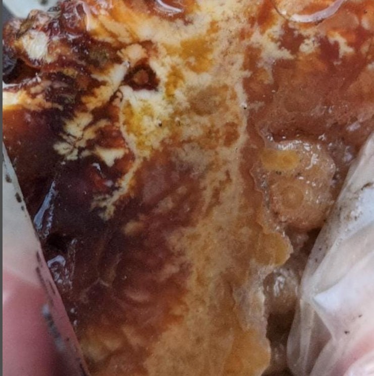 Carnelian Agate in Natural Form 5lb Lot