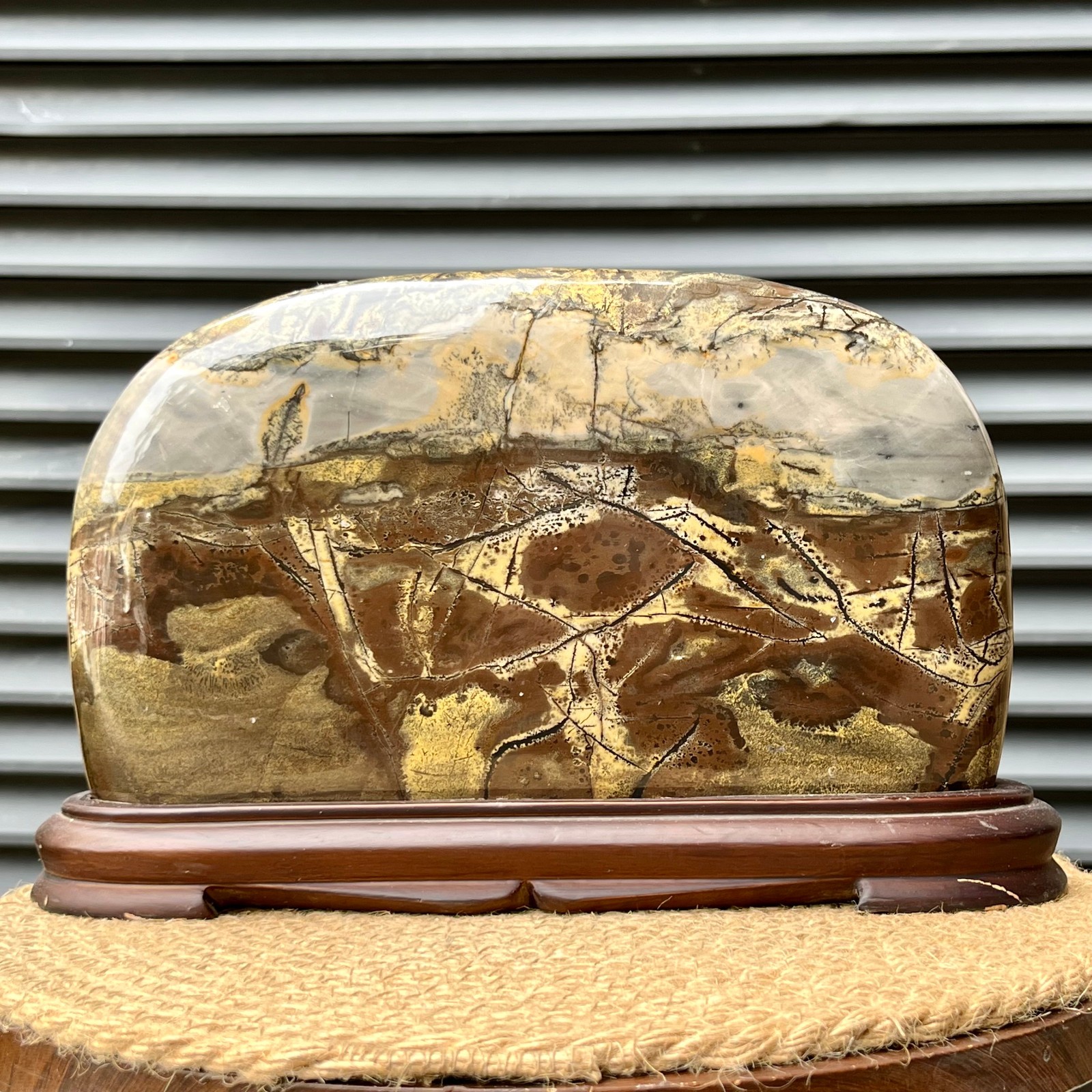 6.2 lb Natural Scenic Stone Display Polished Pattern Art w/ Wood Stand