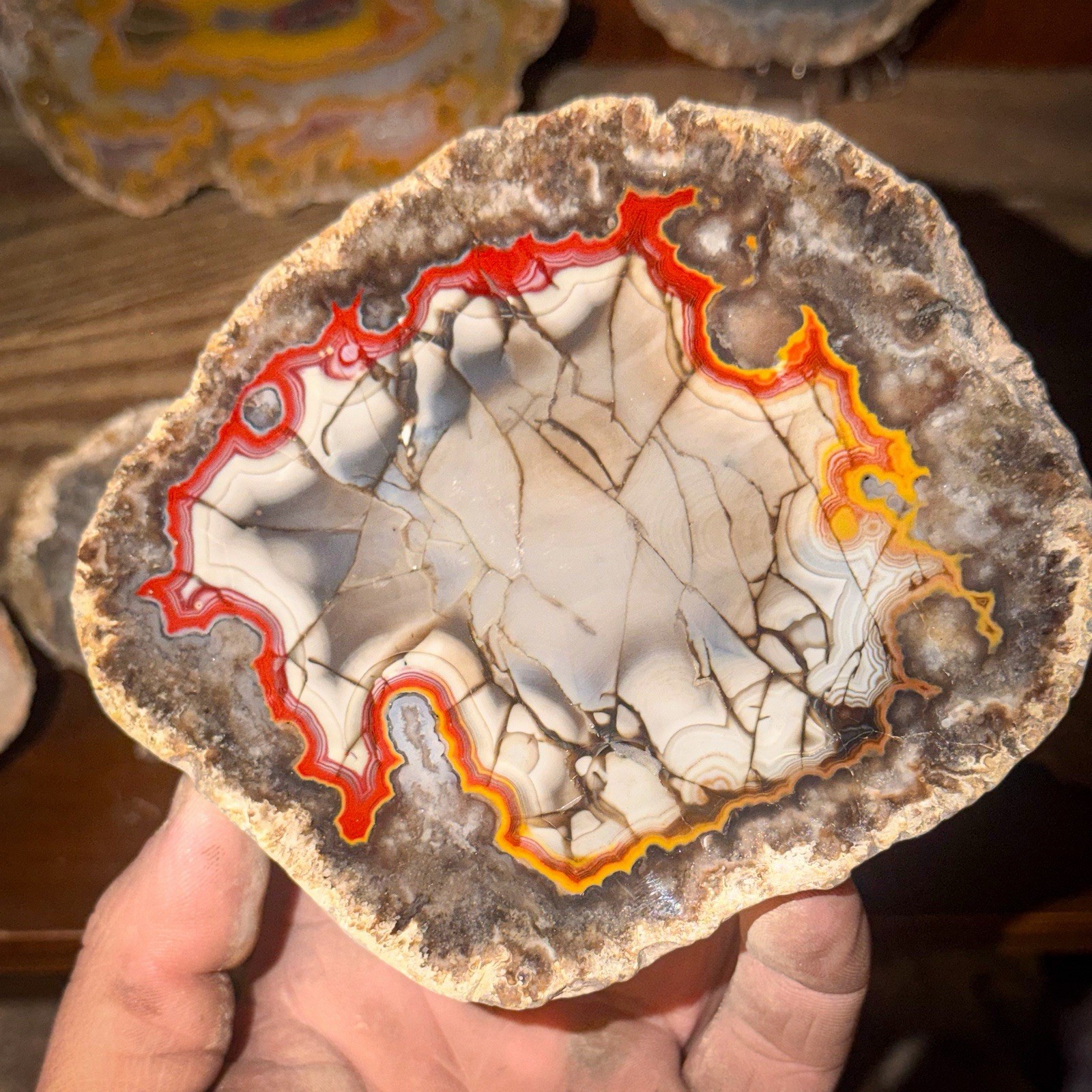 LARGE 1LB 12OZ Fire Kentucky Agate With Dark Fracture Lines Brilliant Contrast