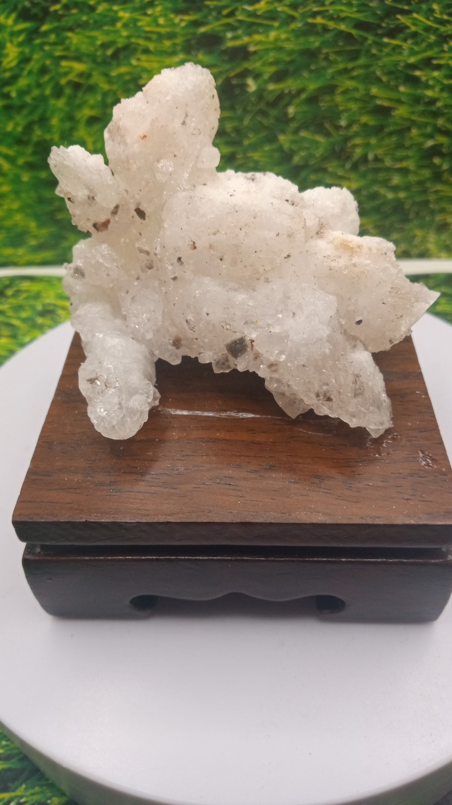 Quartz w/ Halite Mineral on Cherry Wood Stand ~ Carlsbad New Mexico ~