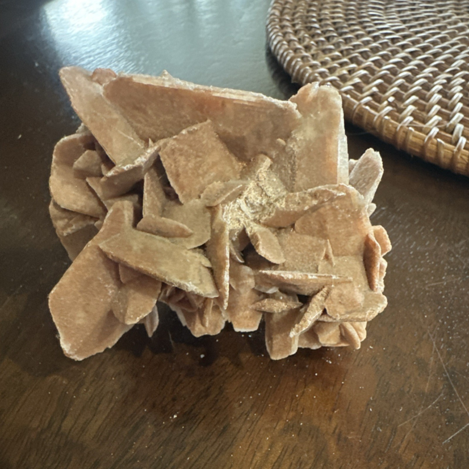 Desert Rose Selenite Gypsum Mineral Specimen on Display Stand