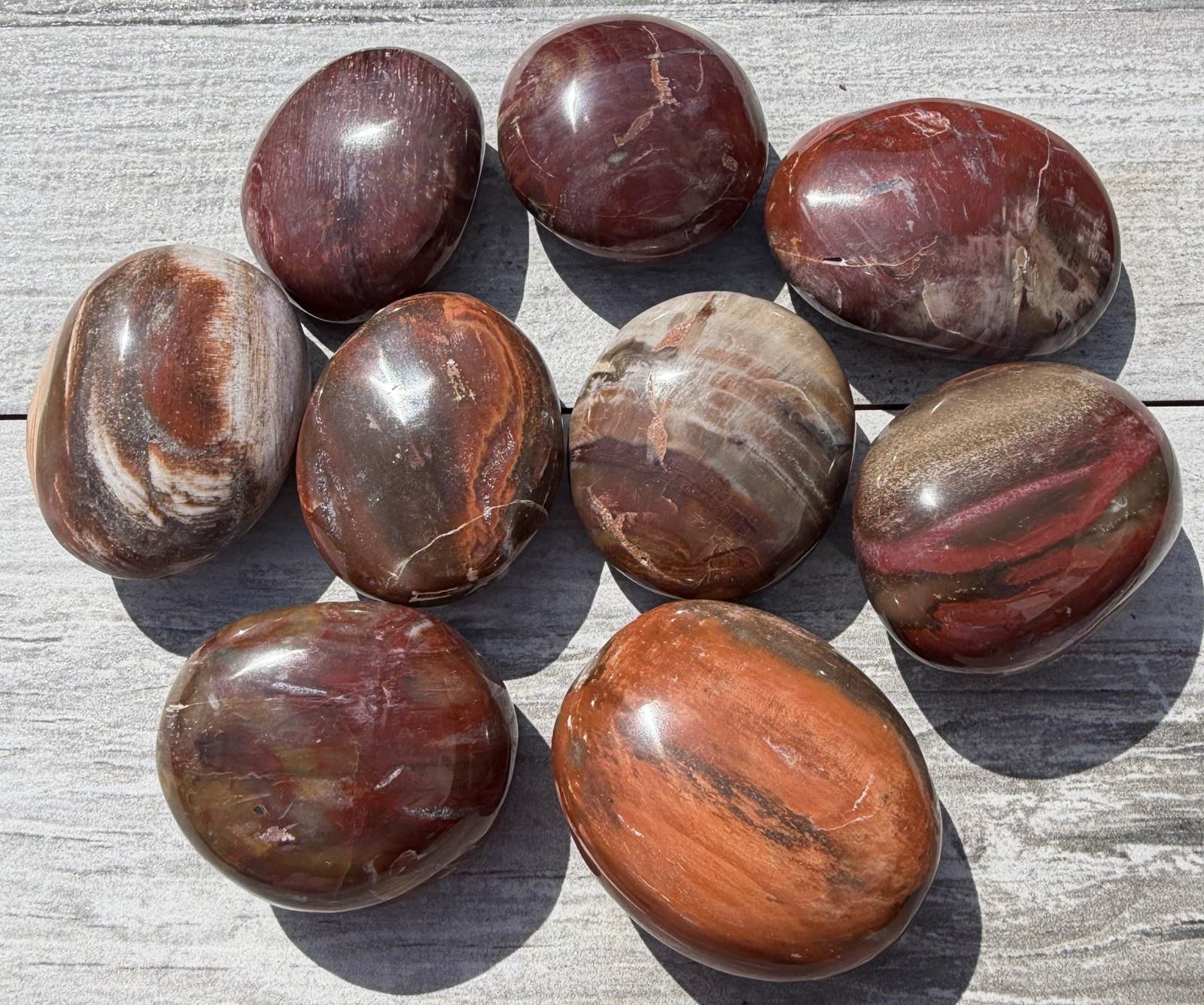 Wholesale Lot 2 Lbs Natural Petrified Wood Palm Stone Crystal Healing