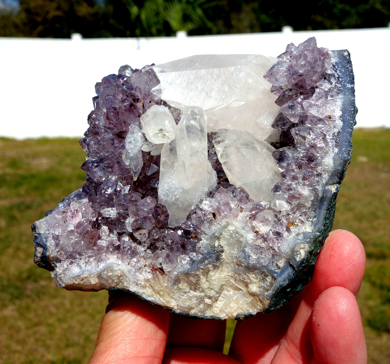 White DOGTOOTH Calcite in AMETHYST Crystal Point Stalactite Quartz Cluster