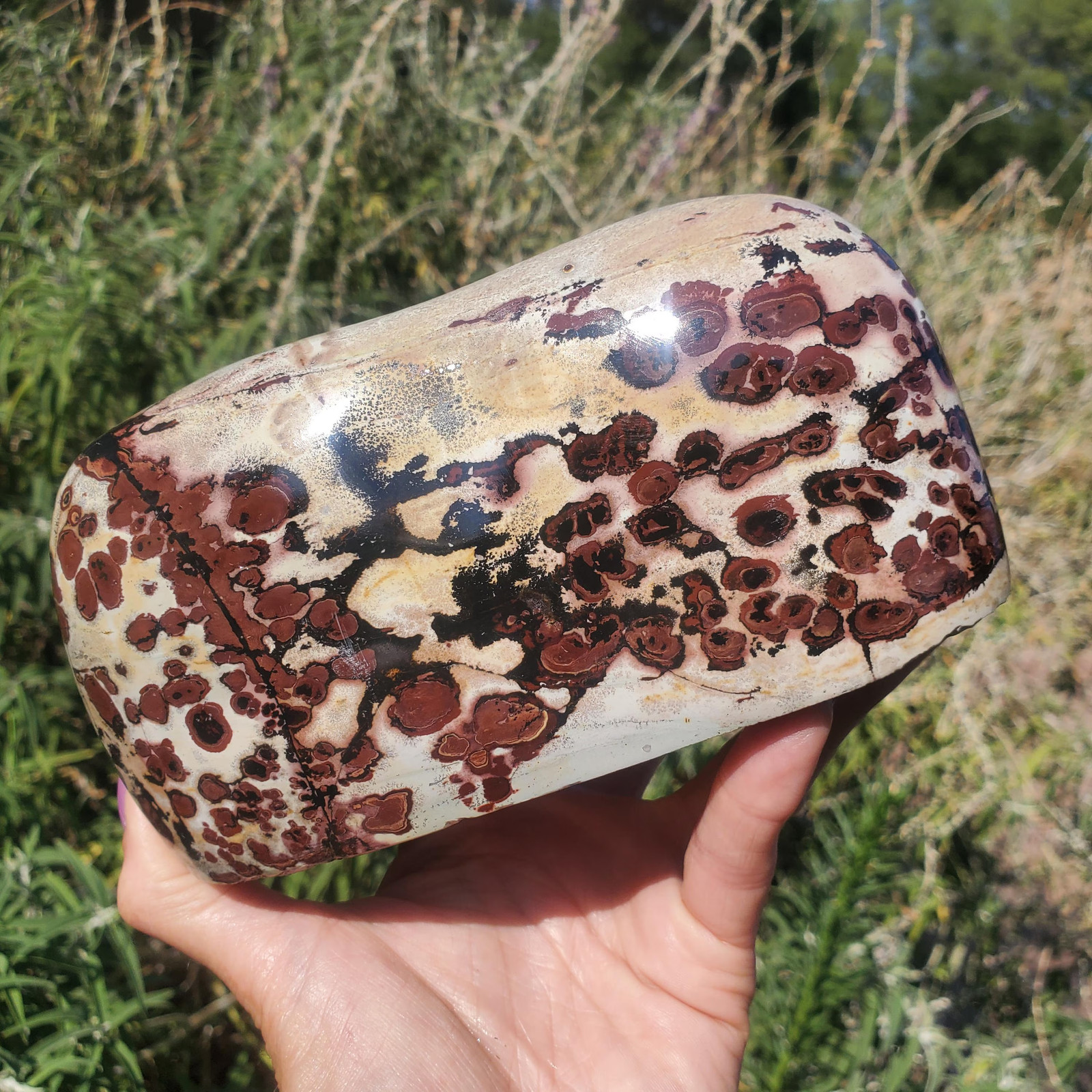Picture Stone Jasper Dendritic Dendrite Display Freeform | 3lbs 5oz | 1490 Gram