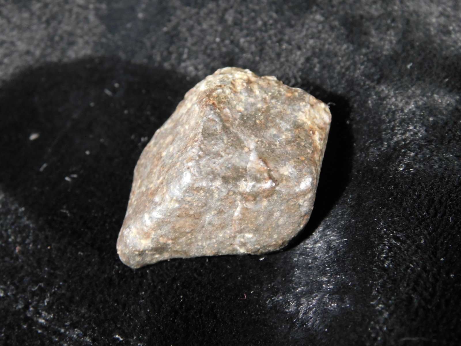 Small Stony METEORITE With Dark Fusion Crust 100% Natural Fell in Libya 13.0gr