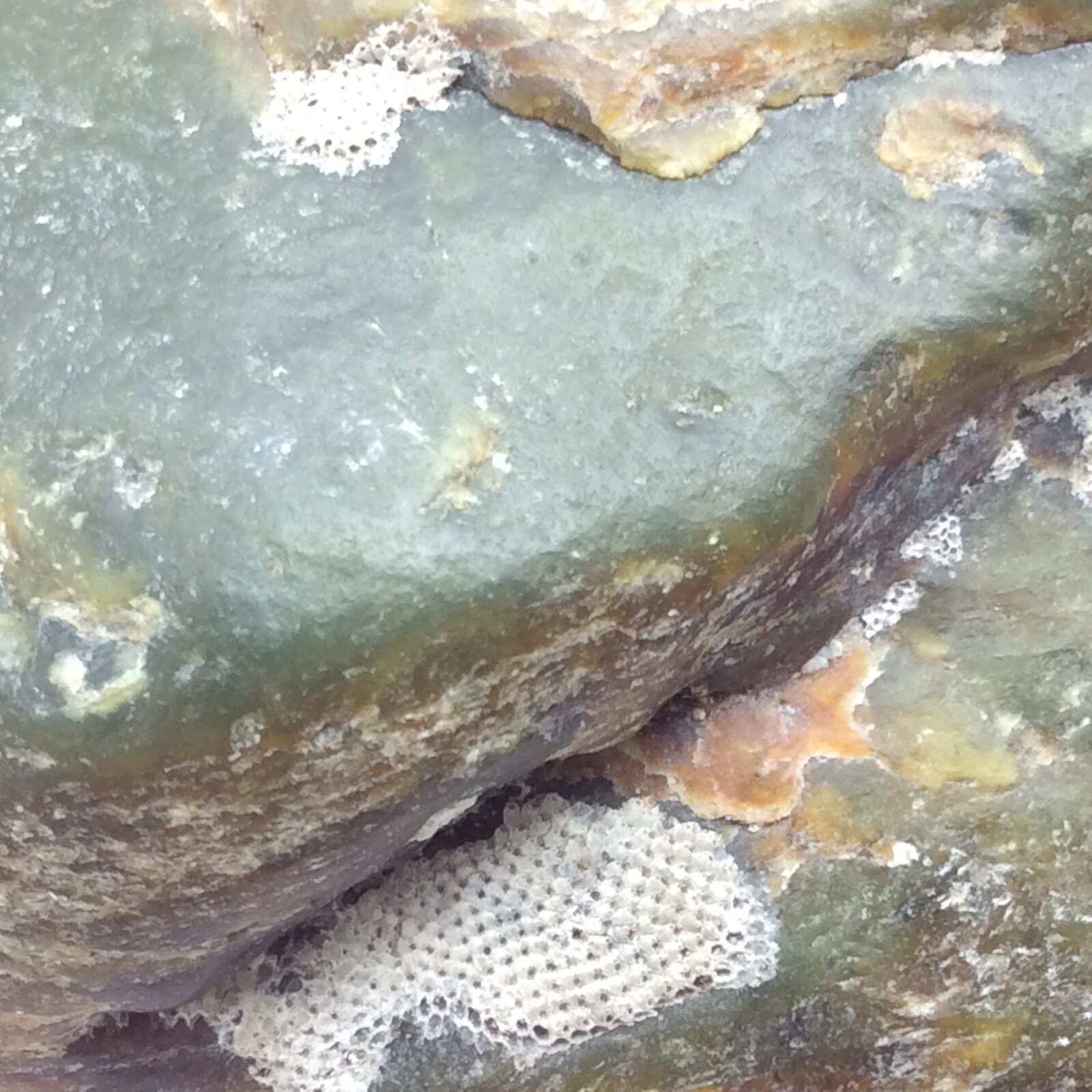 Big Sur Jade Vulcan Iron Stain Ocean Polish Nephrite Display Stone Monterey #20