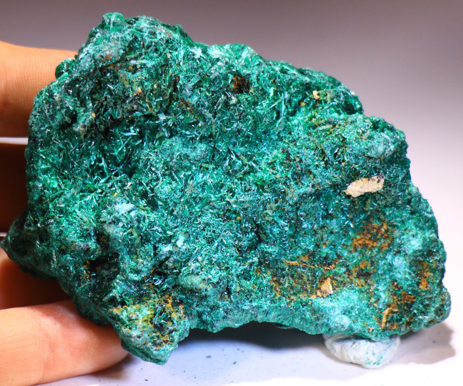 3.75″ 9.4 oz Stunning Fibrous Malachite Cave/Cluster, Congo! M547