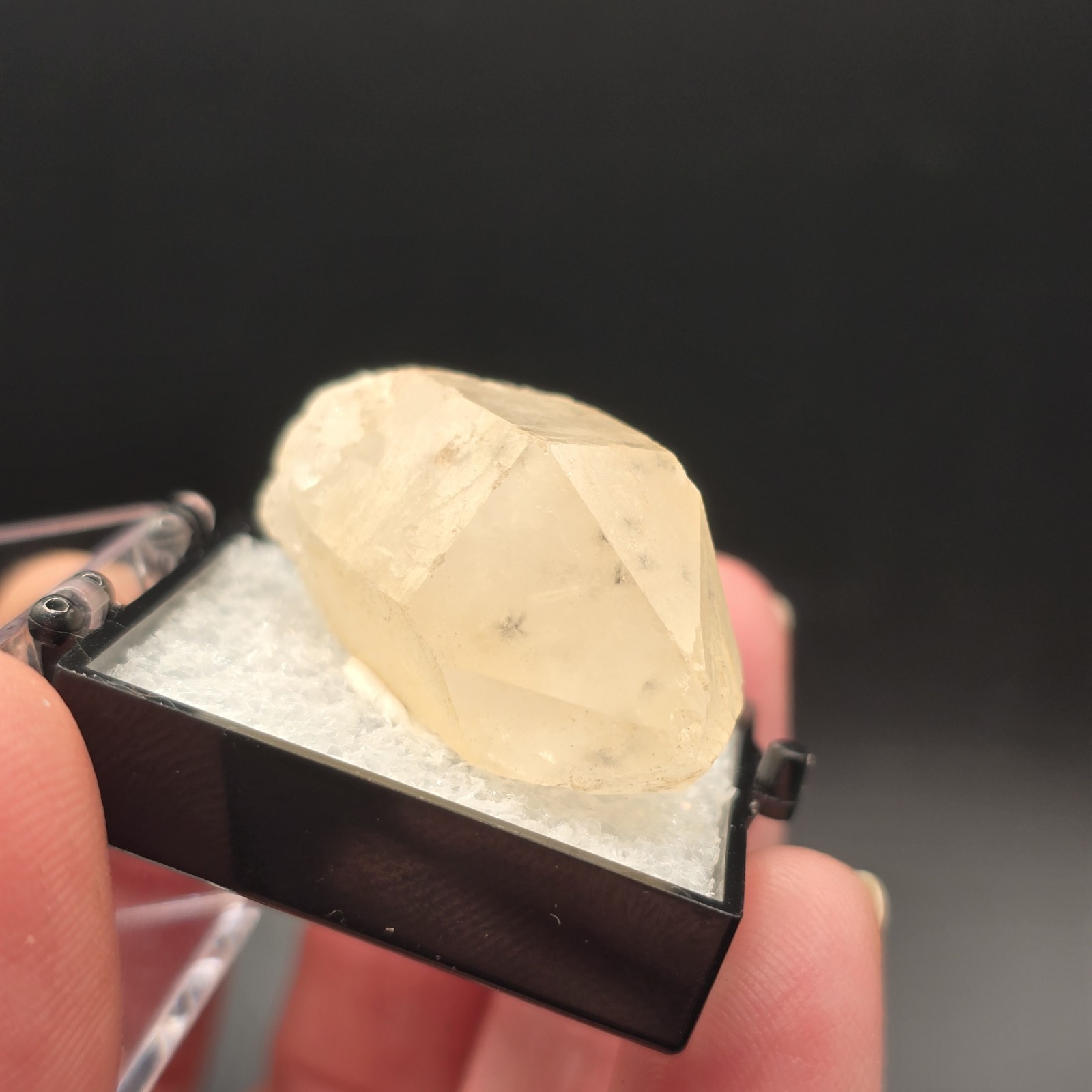 Hollandite Spider Quartz Point Crystal Madagascar Gemstone Specimen in Perky Box