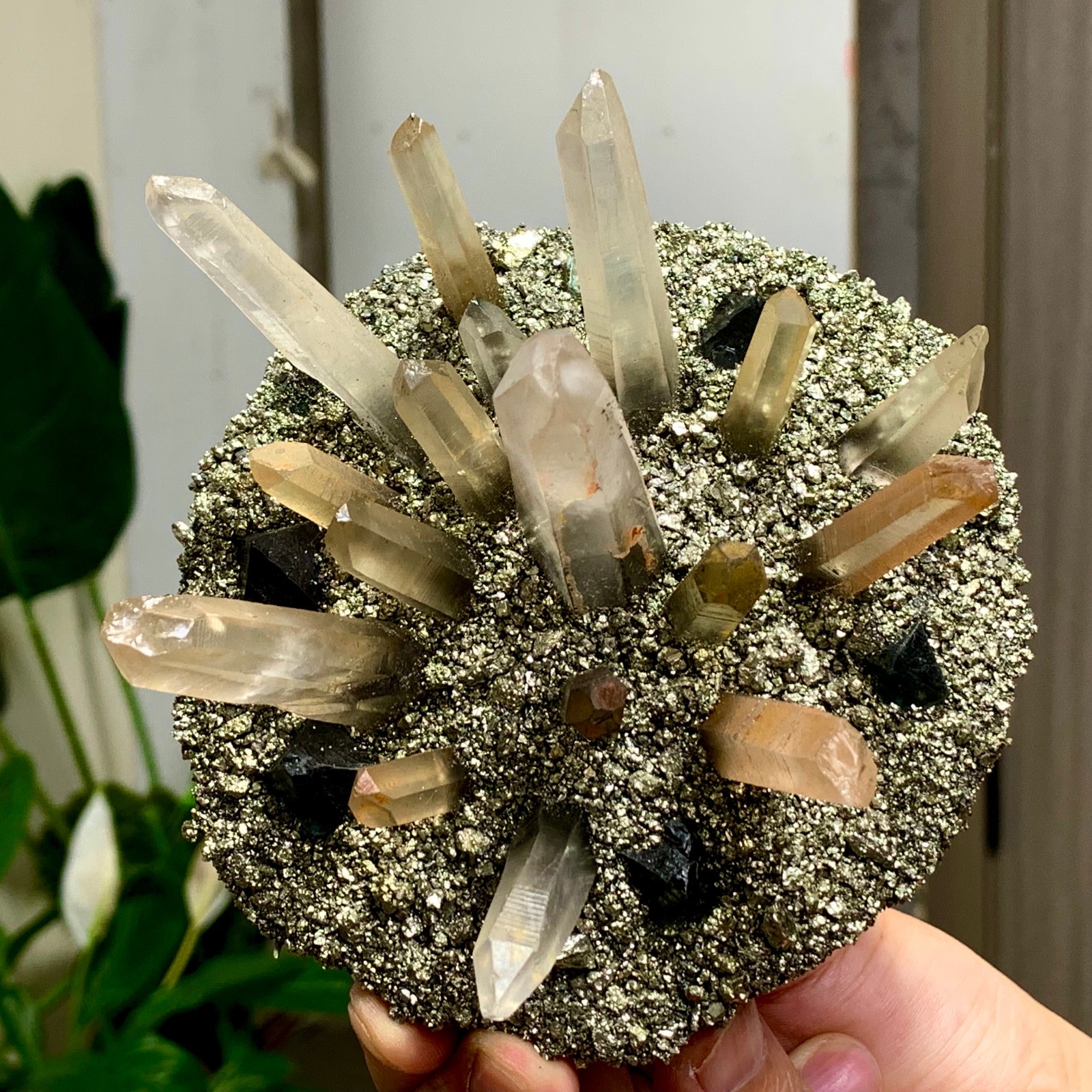 492G Coexistence of natural quartz and pyrite green fluorite crystal clusters