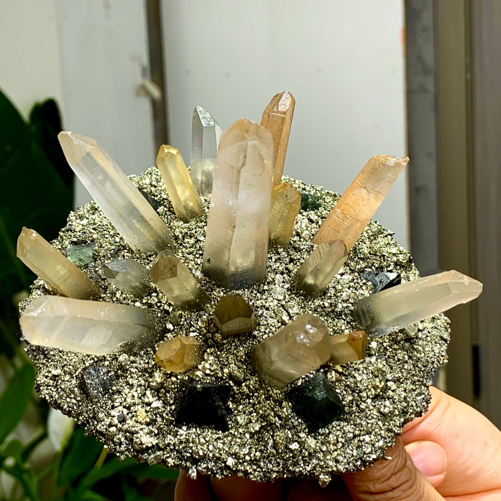 492G Coexistence of natural quartz and pyrite green fluorite crystal clusters