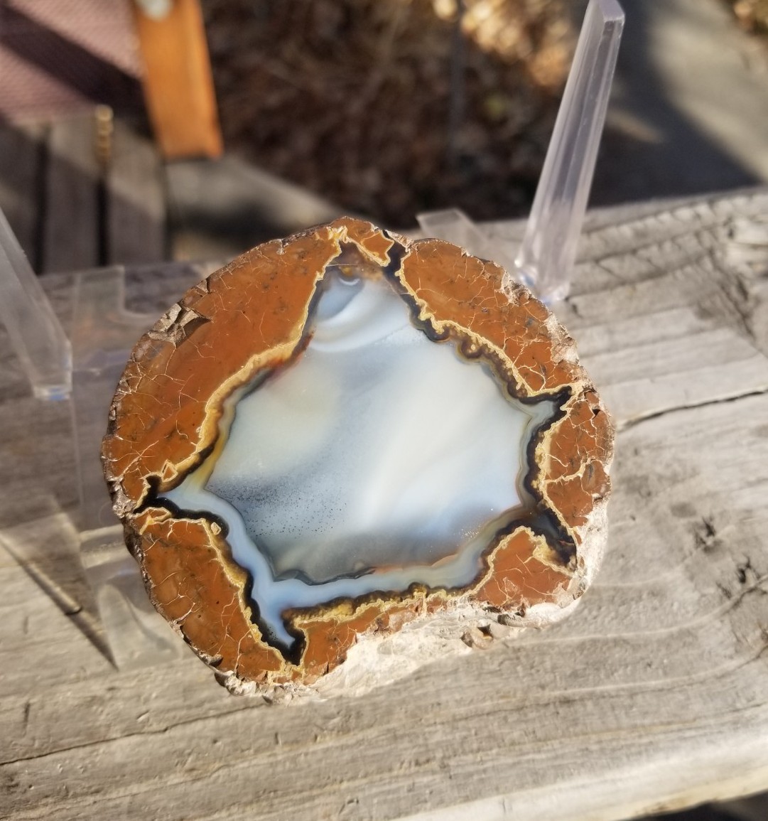 Nice Richardson Ranch Thunder Egg Geode 3″ Polished Half Specimen Opaque Banding
