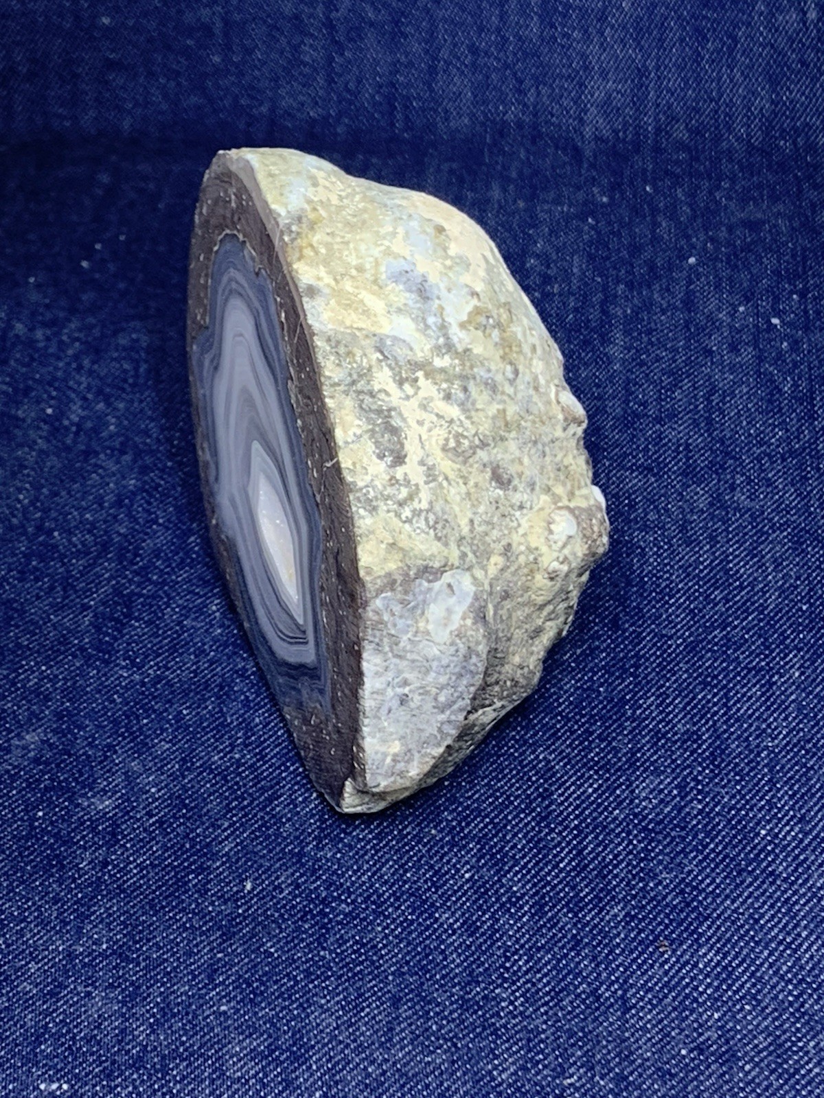 Thunder Egg Display Half ( Oregon )