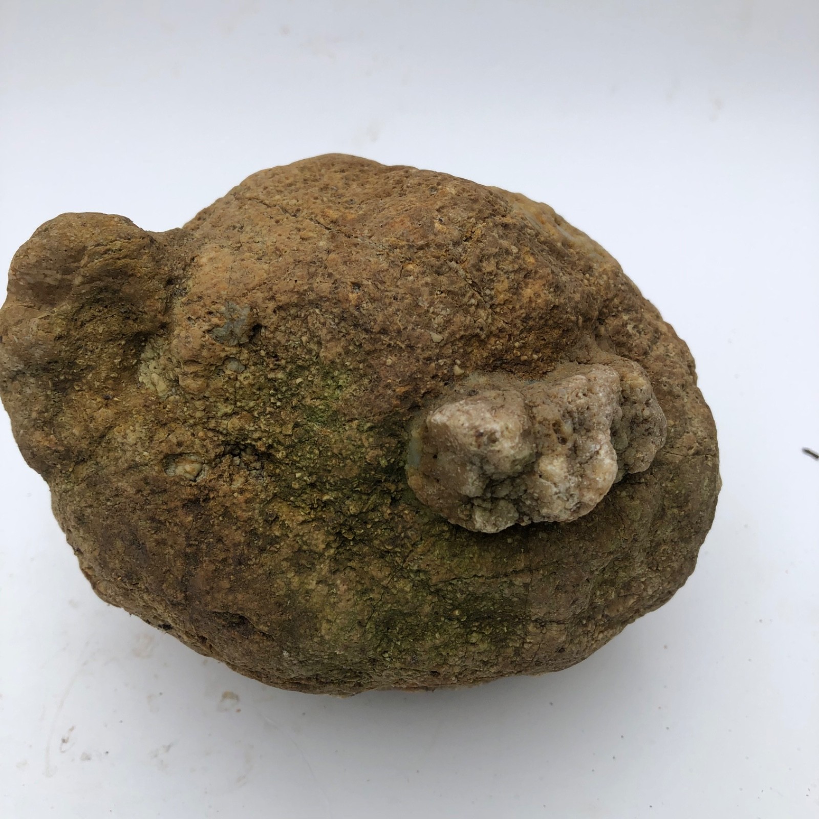 4 lb Unopened Kentucky Geode Rattler Break Your Own Hand Picked Natural Quartz
