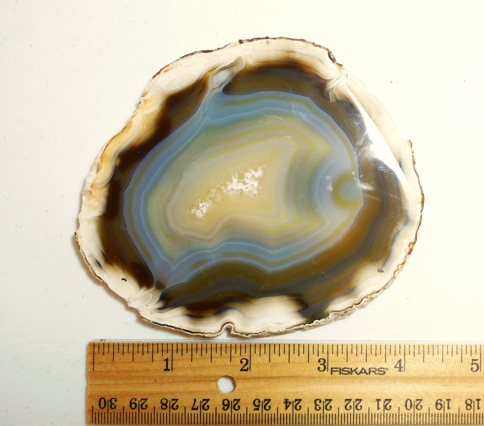 Mexican Agate Not Dyed Polished Natural Stone Specimen