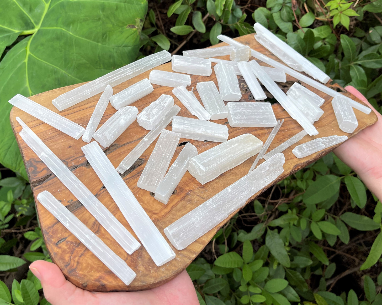 BULK 5 lb Wholesale Lot Selenite Logs Crystal Sticks Wand Blades CLEARANCE