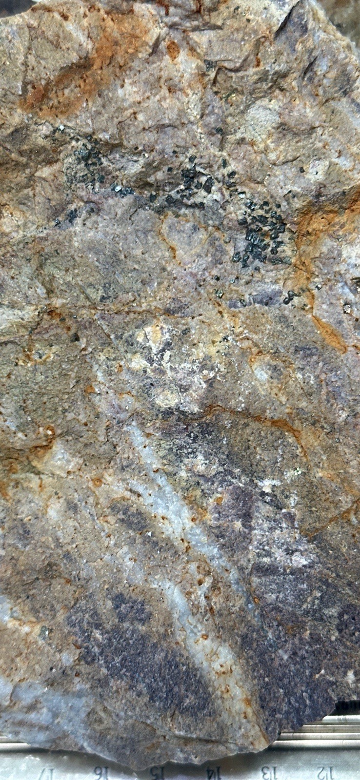 Plumas County Northern Sierra Gold Ore, Priced Right & Visible Gold + Minerals
