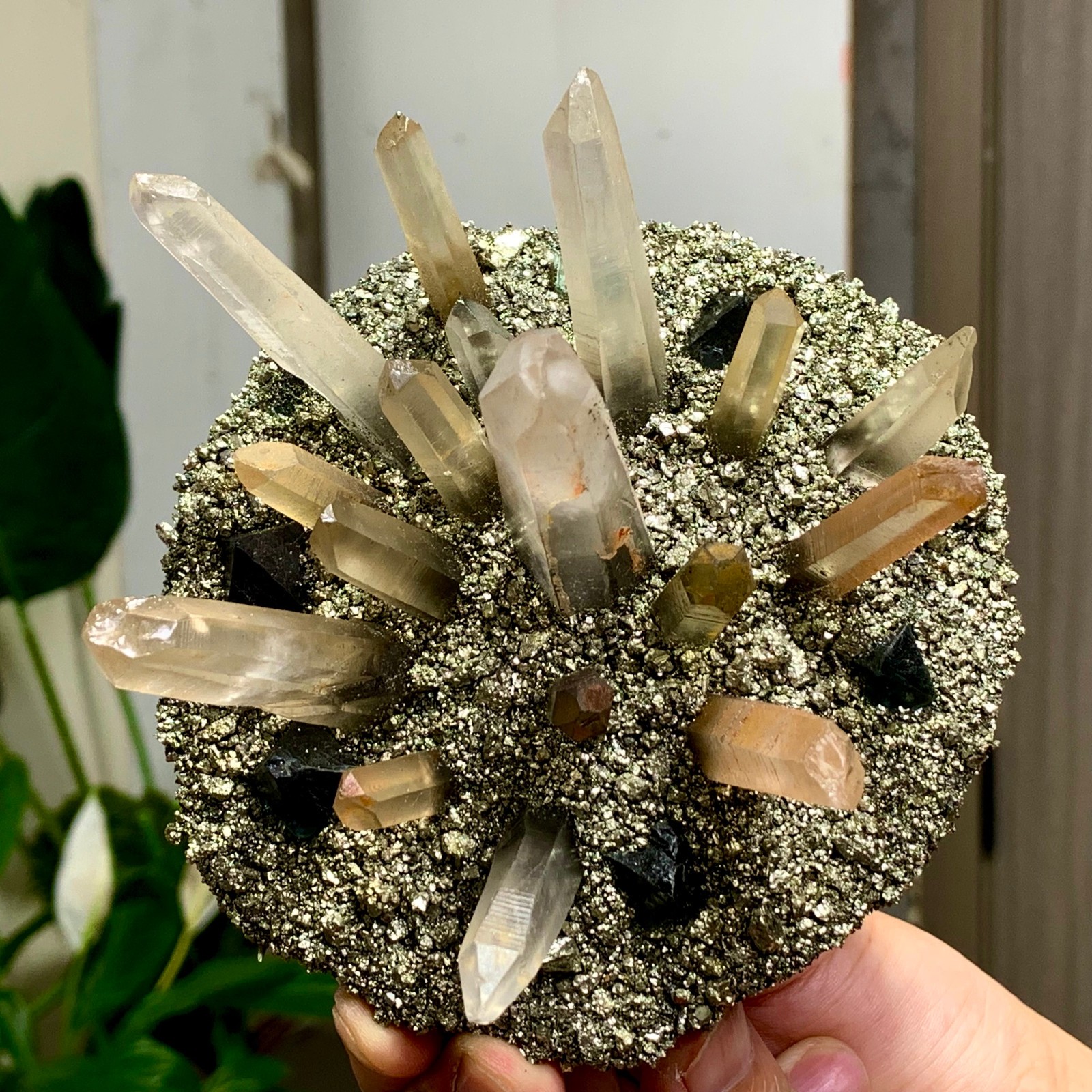 492G Coexistence of natural quartz and pyrite green fluorite crystal clusters
