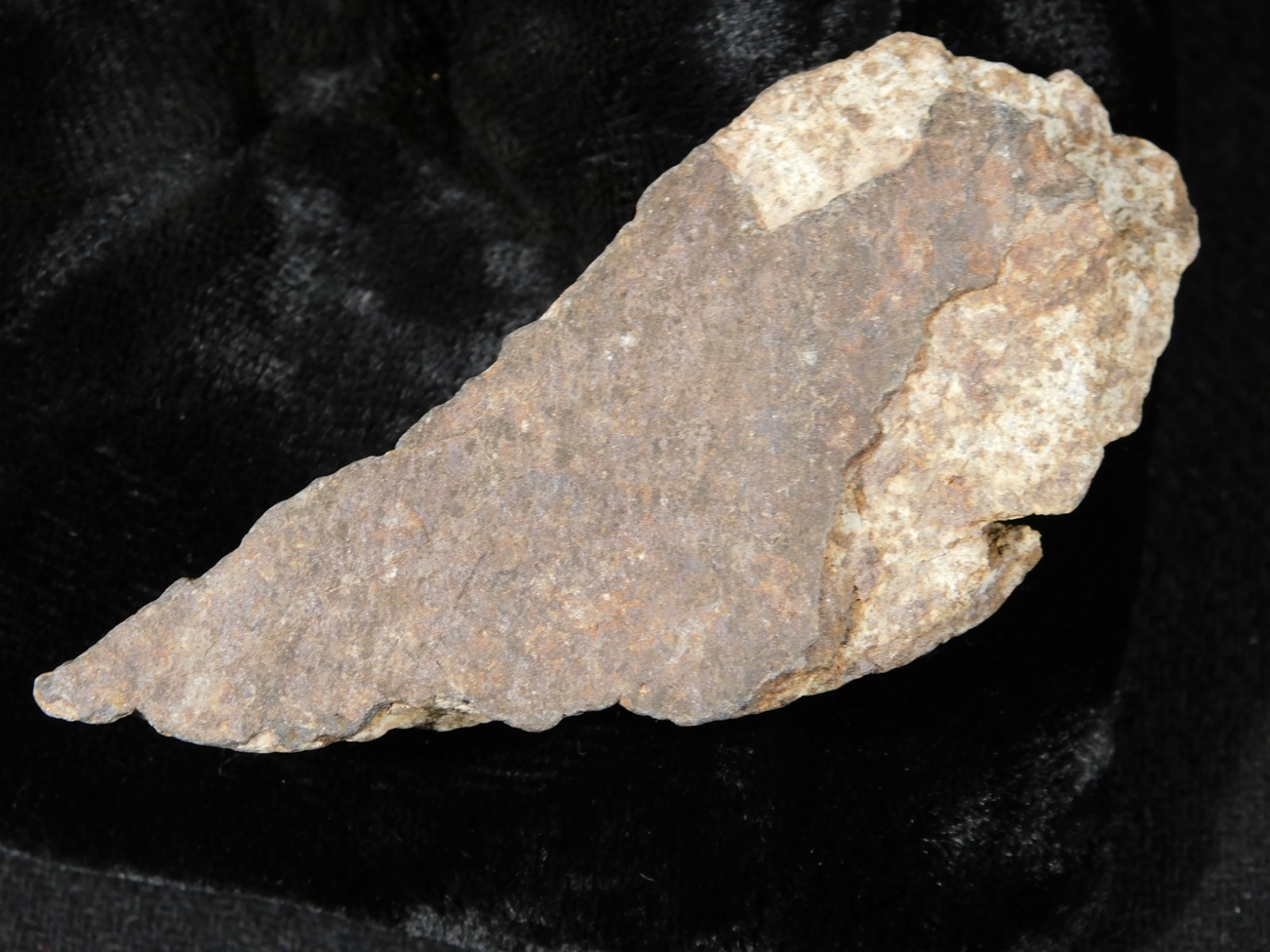 Classified NWA 8245 METEORITE Spots of Dark Fusion Crust! Erfoud, Morocco 68.7gr