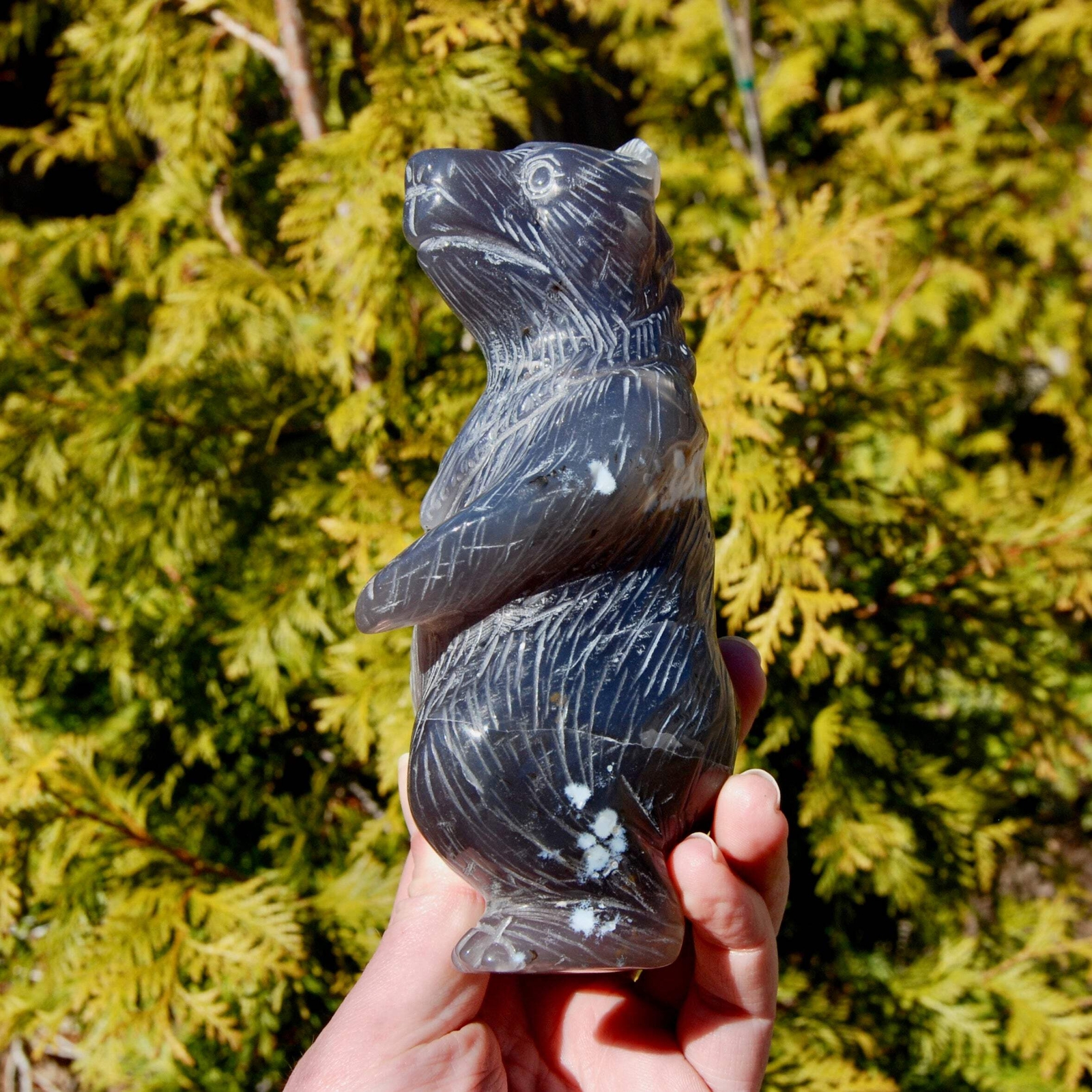 6in XL 1.9lb Agate Geode Carved Crystal Bear