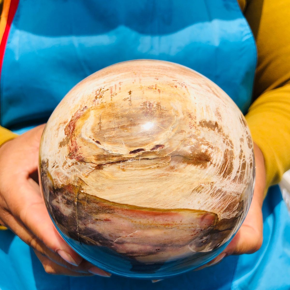 4.59LB Natural Petrified Wood Sphere Polished Crystal Ball reiki healing