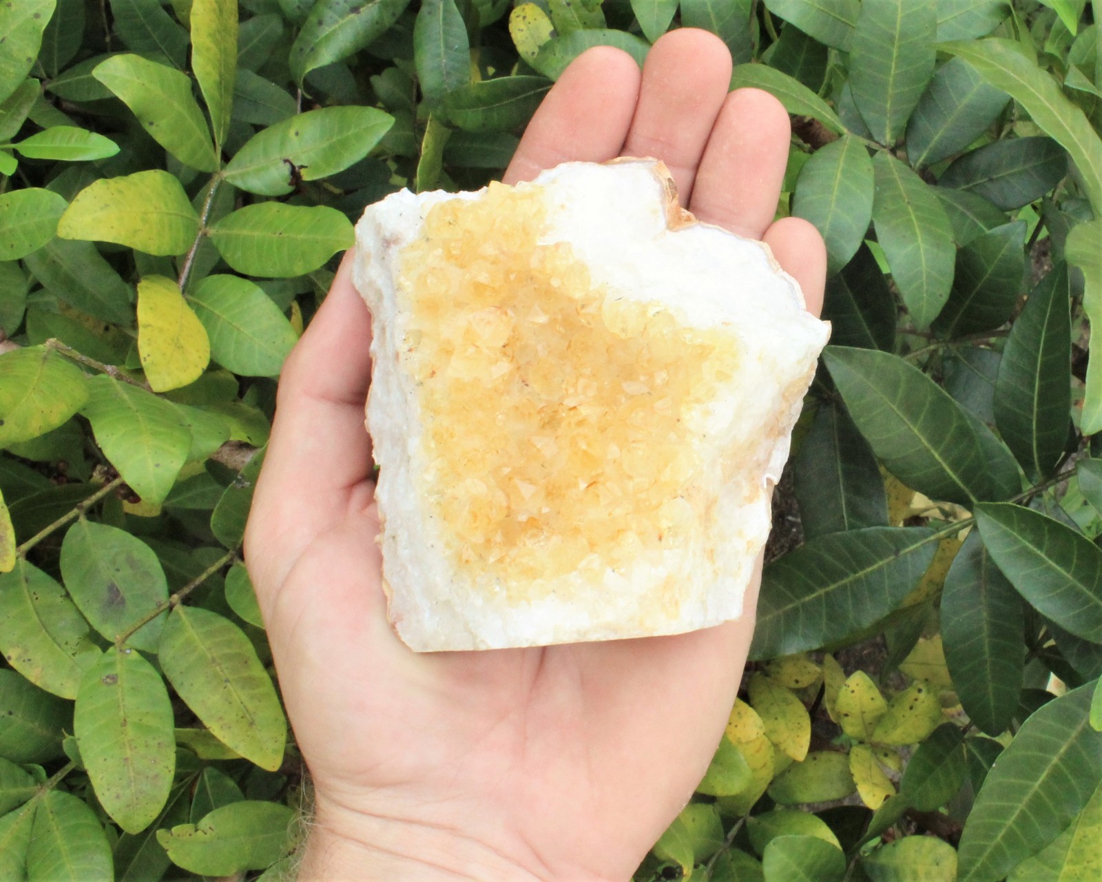 Citrine Cut Base Clusters – CLEARANCE Quality Free Standing Citrine Crystals