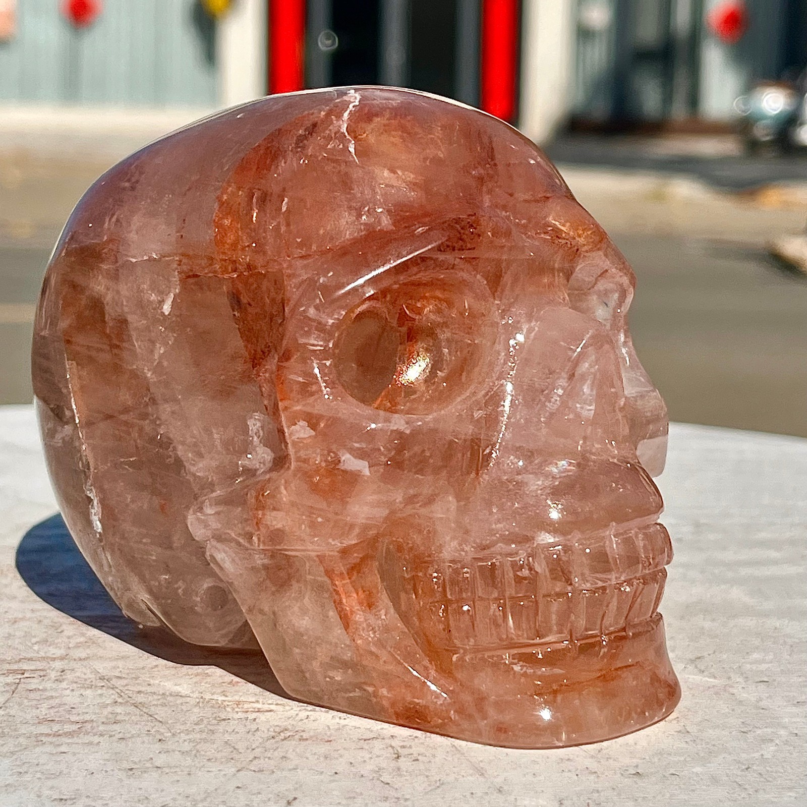 2.38LB Hand carved Red Gum Flower Skull | Used for decoration or gifts