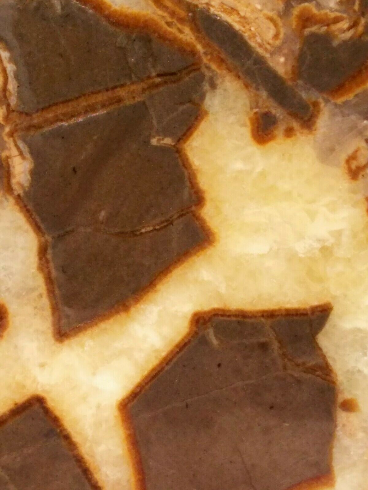 FACE CUT SEPTARIAN NODULE YELLOW CALCITE BRECCIA WHITE CRYSTAL UTAH 3LBS 9.1OZ!