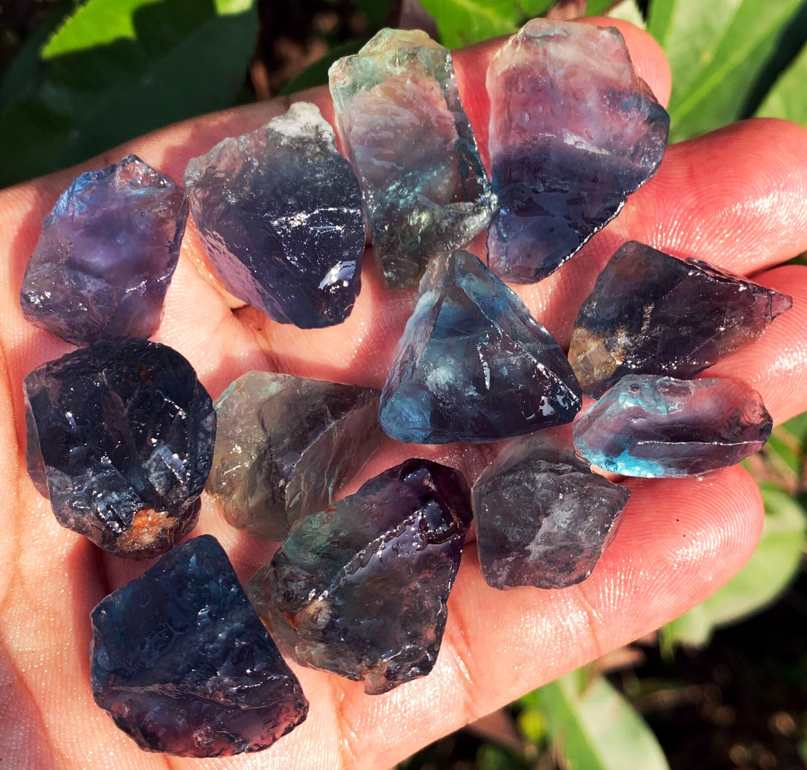 87g 12PC TOP! Natural Fantastic Blue Fluorite Crystal Specimen ic012
