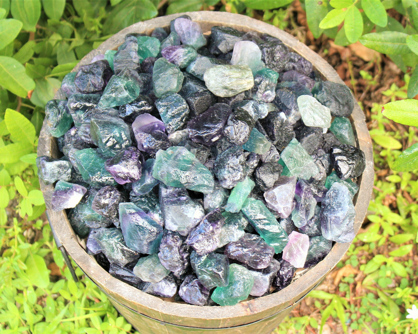 1 lb Bulk Lot Natural Rough Fluorite (Crystal Healing Raw Rock Mineral)