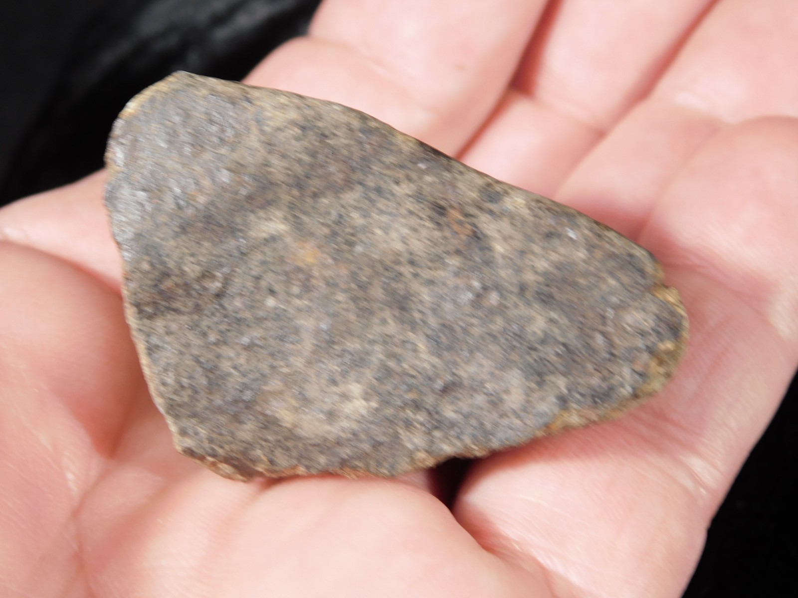 Classified NWA 8245 METEORITE Spots of Dark Fusion Crust! Erfoud, Morocco 74.5gr