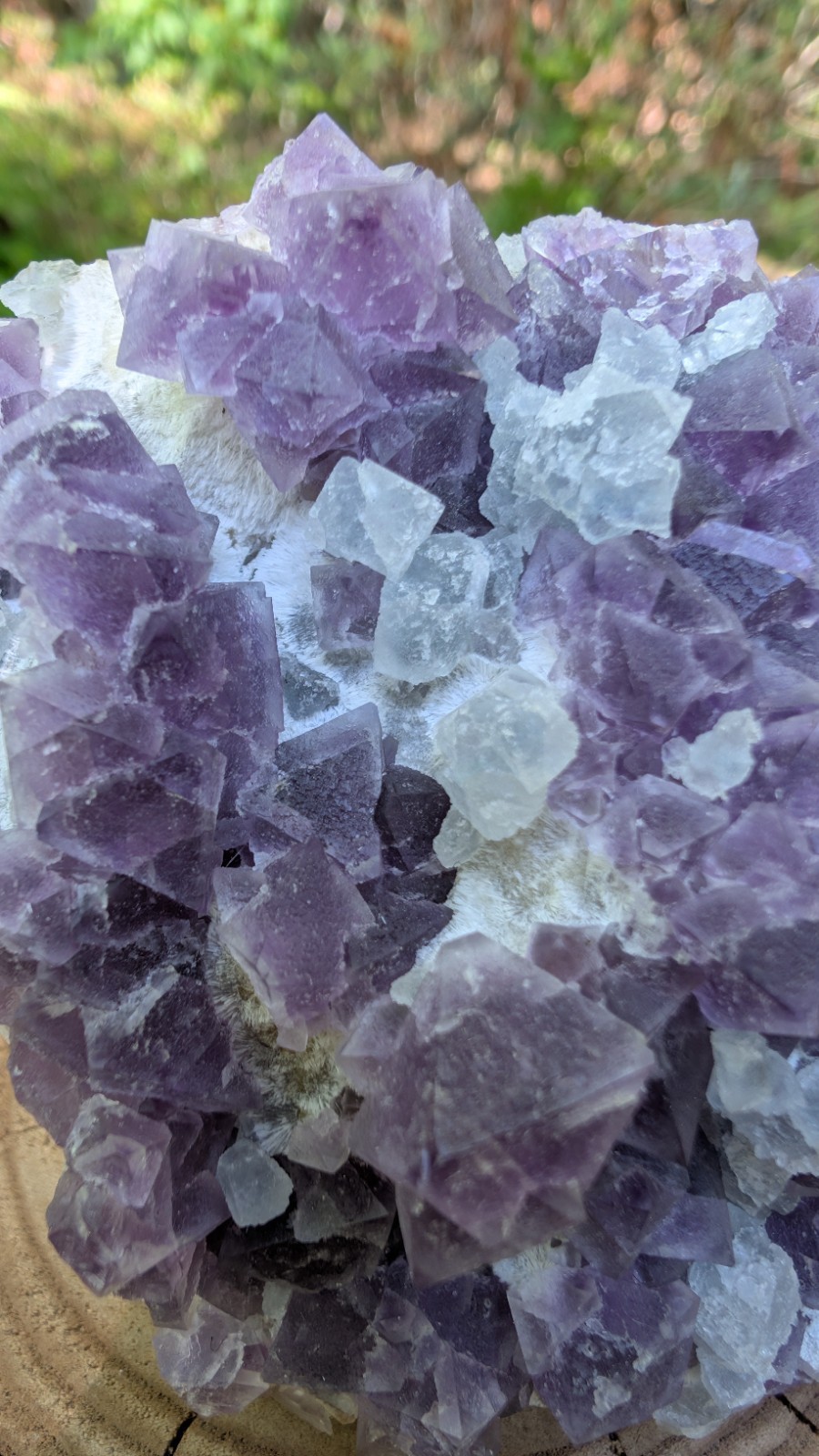 Purple Octahedral Fluorite W/ Light Blue Crystals From De’an Mine Jiangxi China