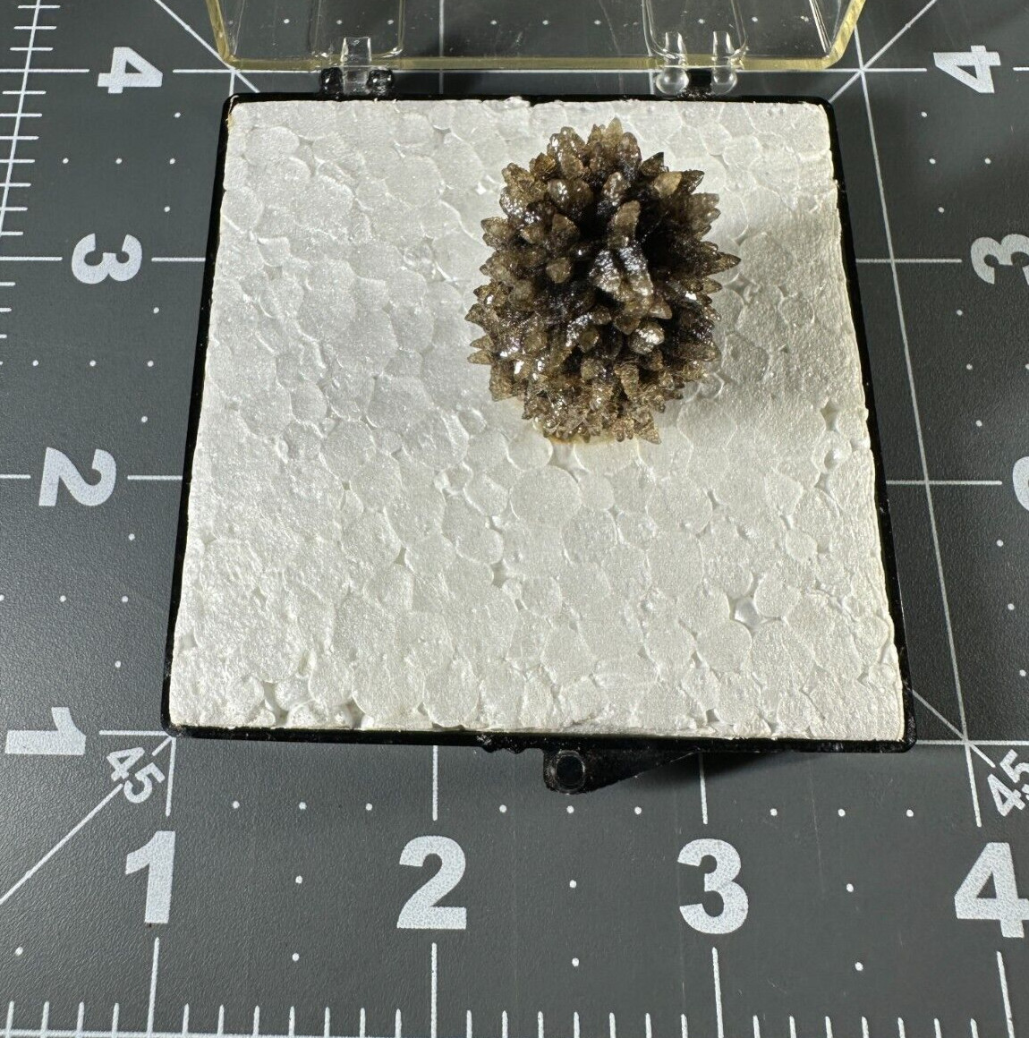 ➤ 1-1/2″ Tall “HEDGEHOG” CALCITE Pleasant Ridge Rensselaer Indiana VIDEO➤412