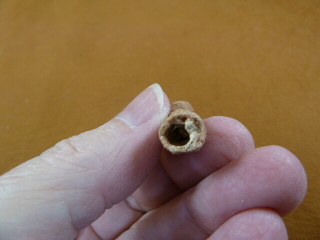 R309-1 1-5/8″ Fulgurite lightning strike beach fused sand Sahara Desert Morocco