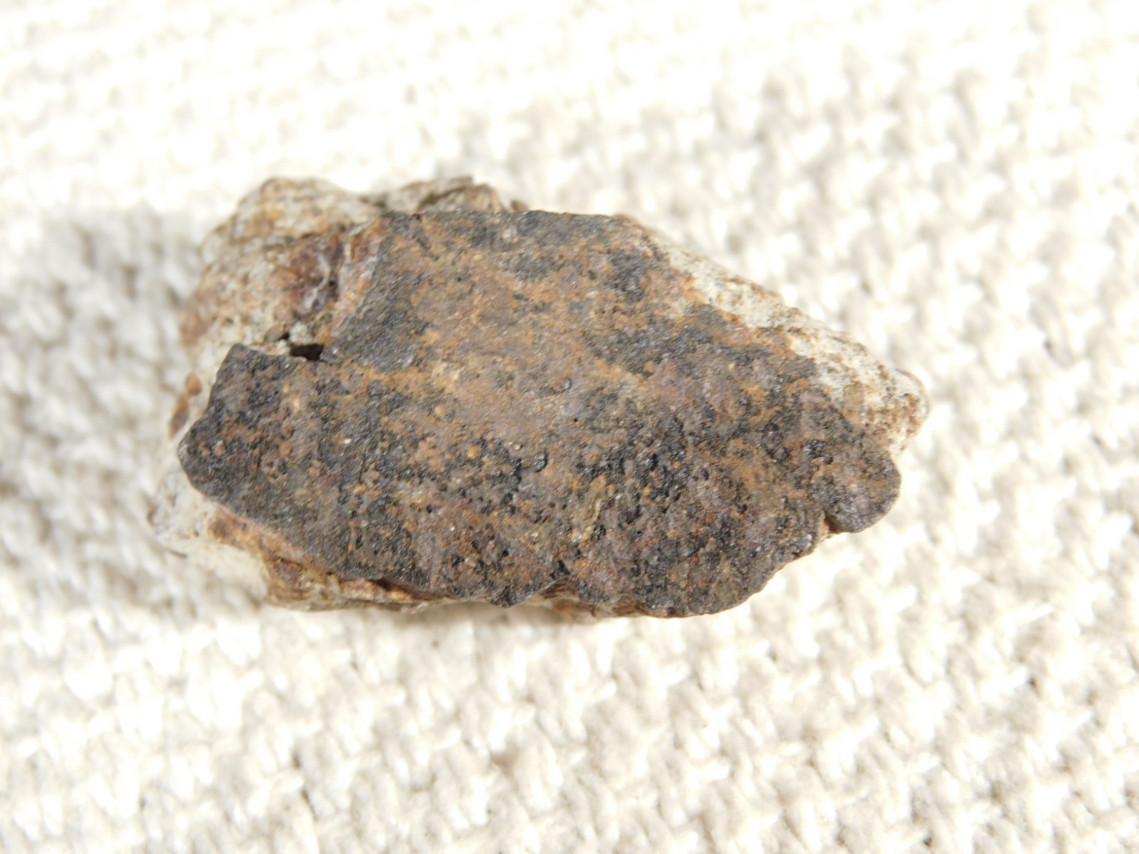Classified NWA 8245 METEORITE Spots of Dark Fusion Crust! Erfoud, Morocco 21.0gr