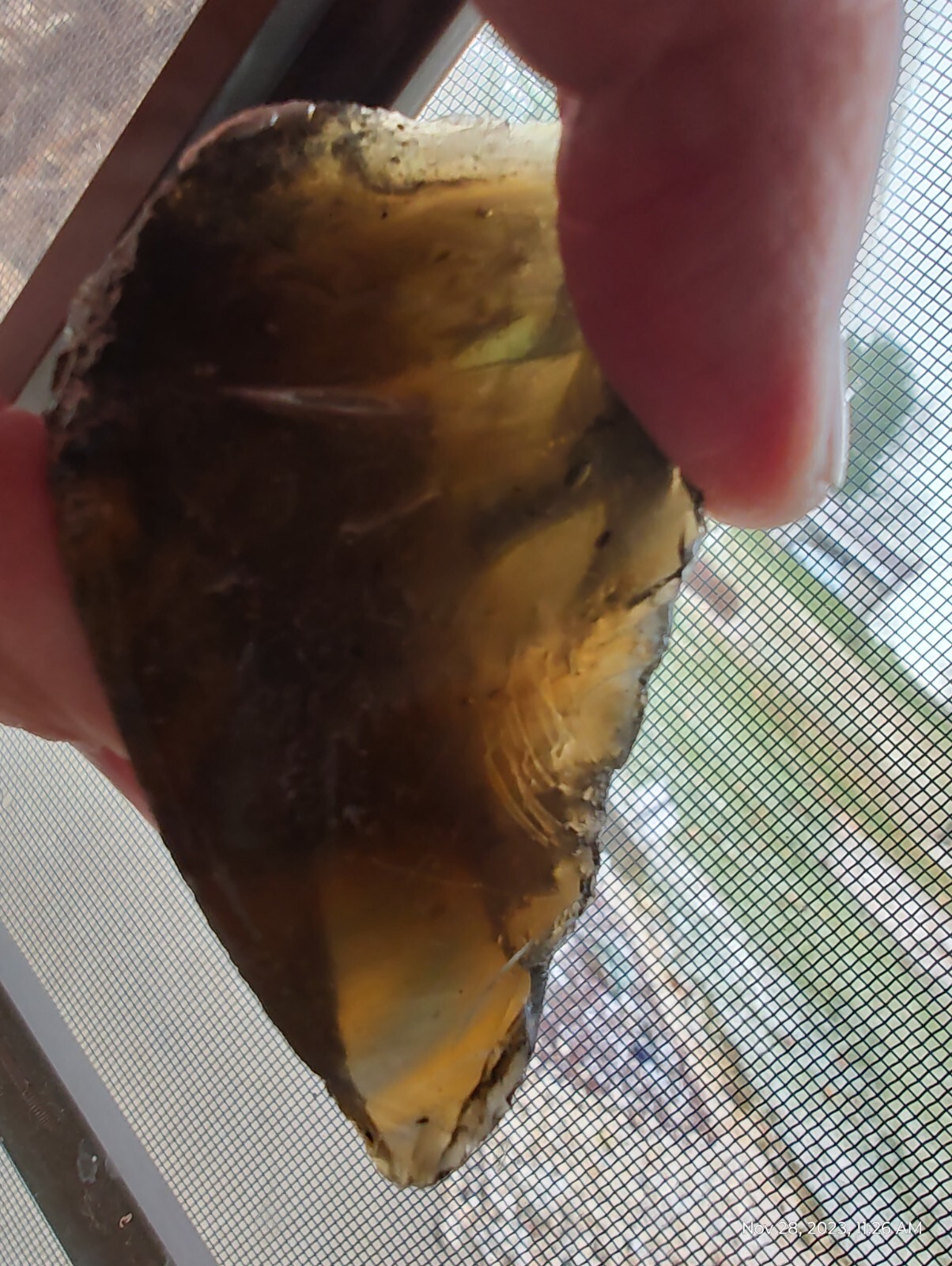 💎🪨 Unknown Mineral Stone Crystal Specimen 50 gram 💎🪨 brown Andara ?