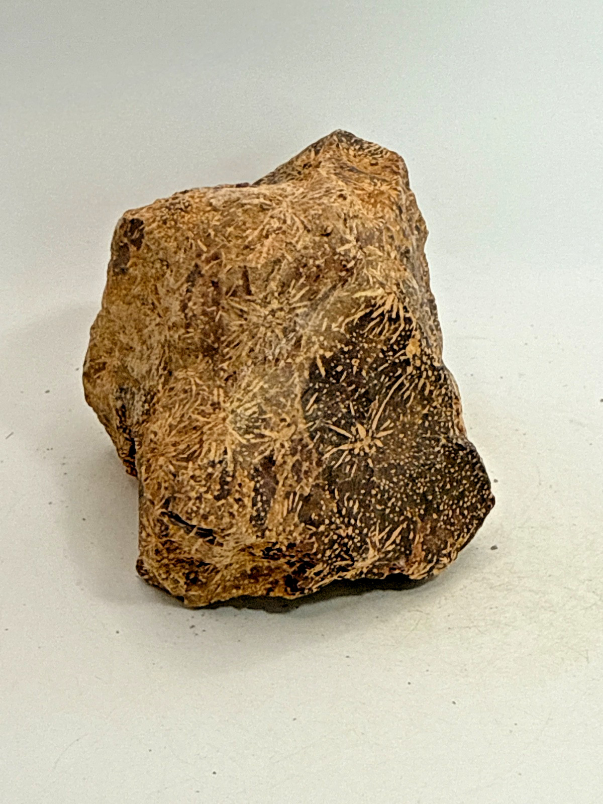 Beautiful Spider Jasper Chrysanthemum Specimen 491 Grams