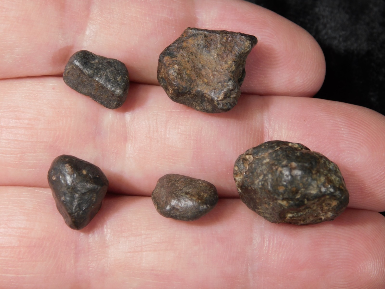 Lot of FIVE! Little 100% Natural N.W.A. Stony METEORITES Algeria 13.2gr