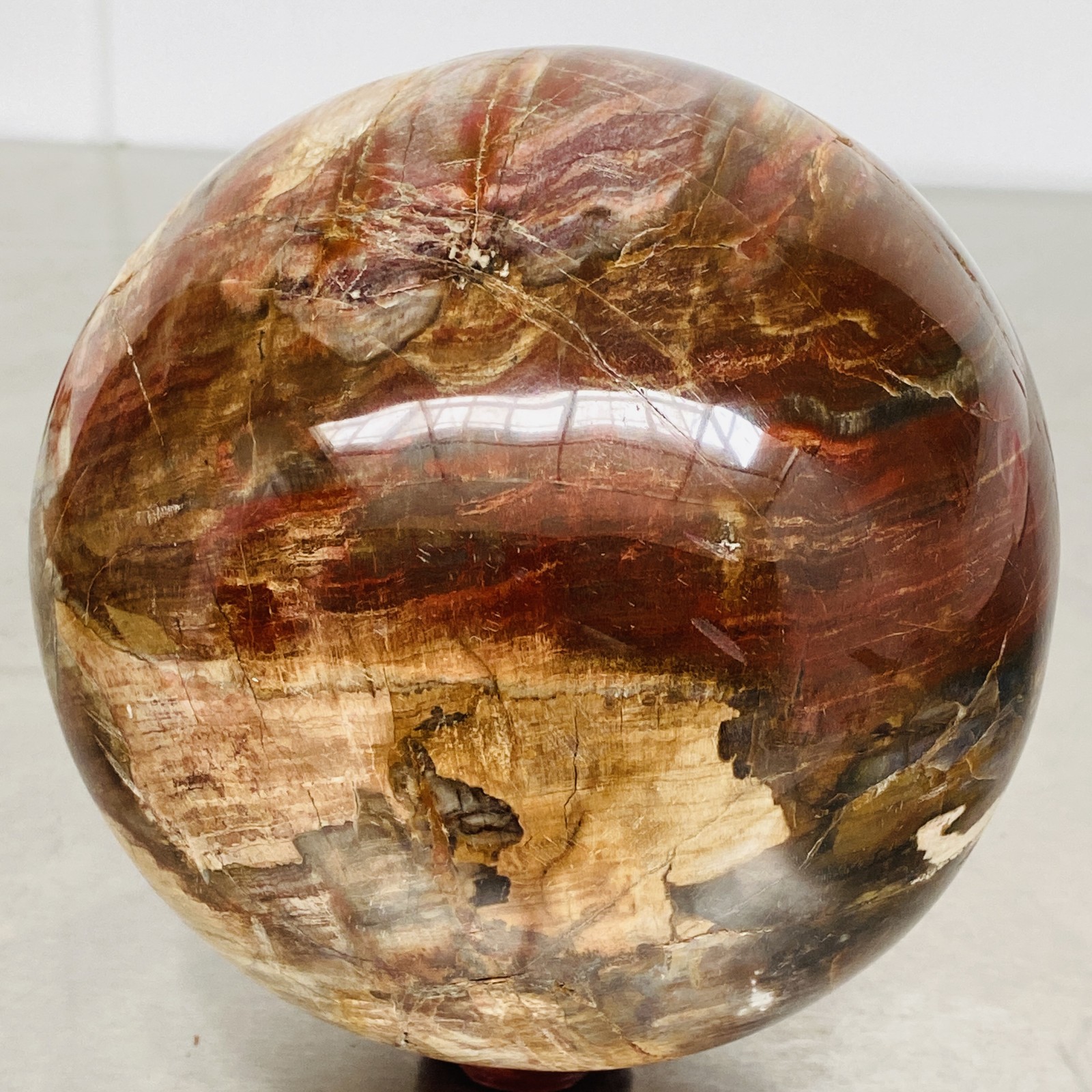 Natural Petrified Wood Polished Stone Quartz Crystal Sphere Ball Healing 3720G